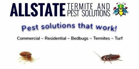 Allstate Termite & Pest Solutions