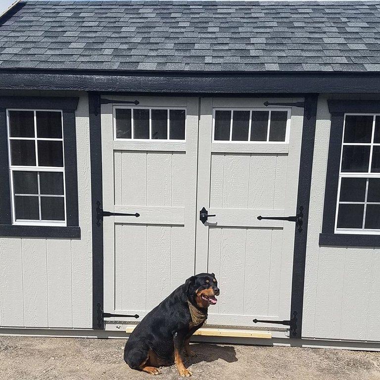 Cny Fence & Sheds