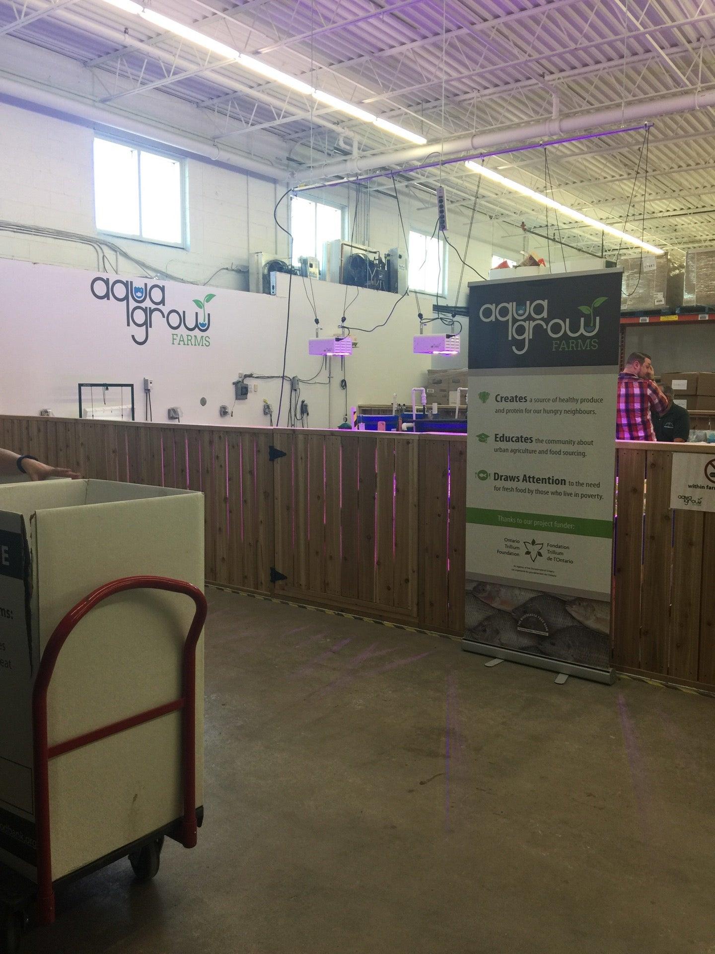 The Mississauga Food Bank