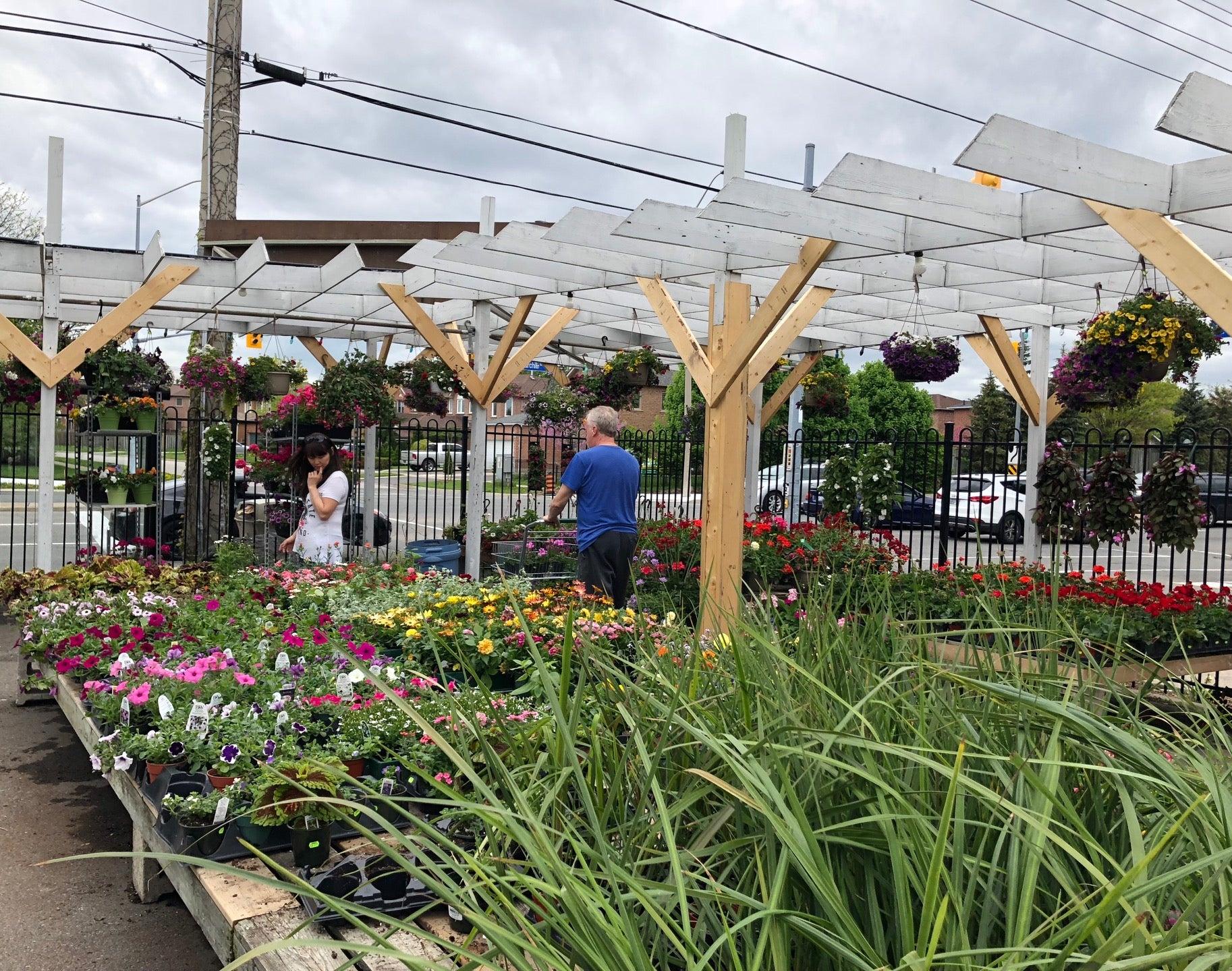 Mississauga Greenhouses