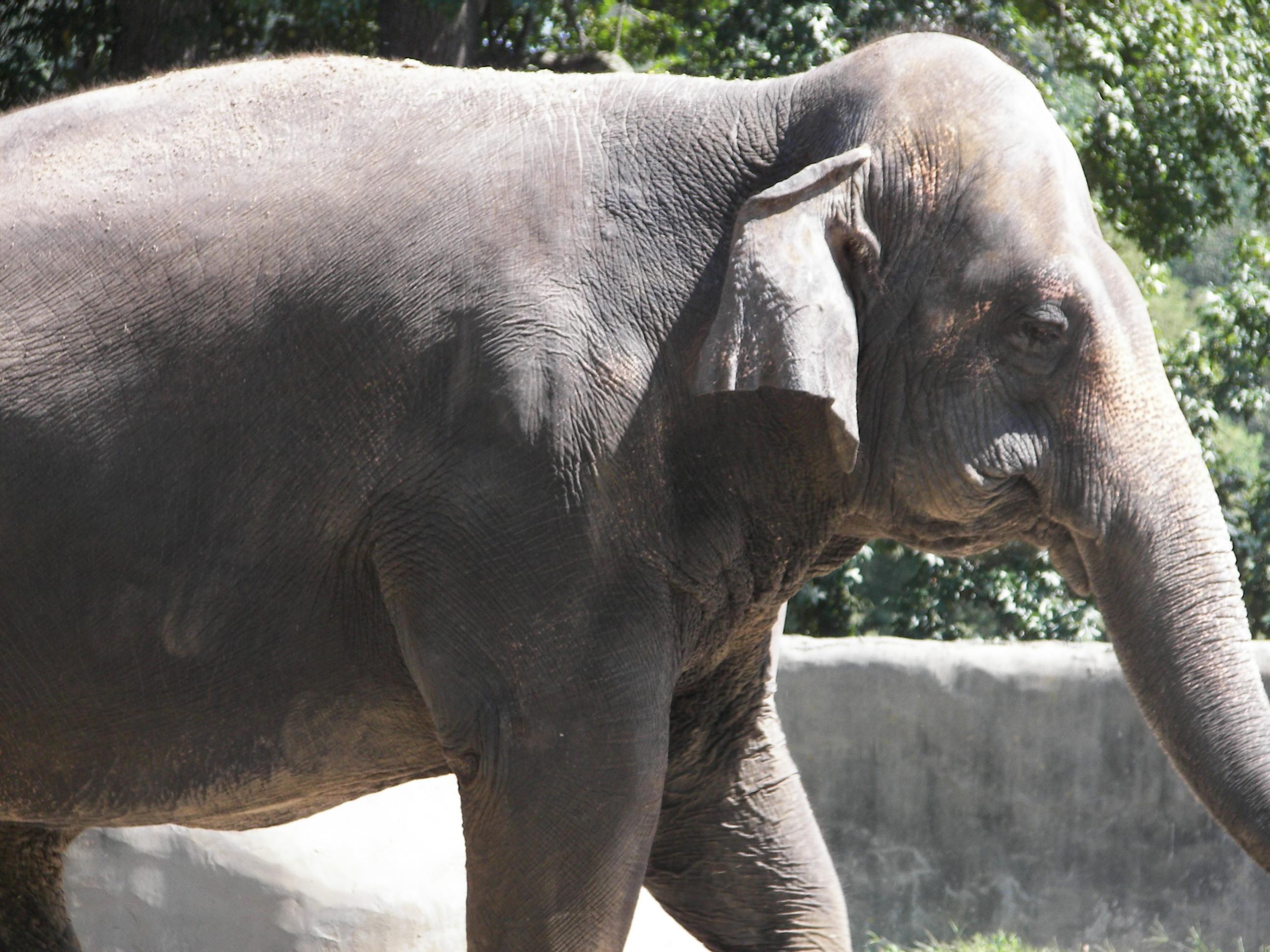 Baton Rouge Zoo