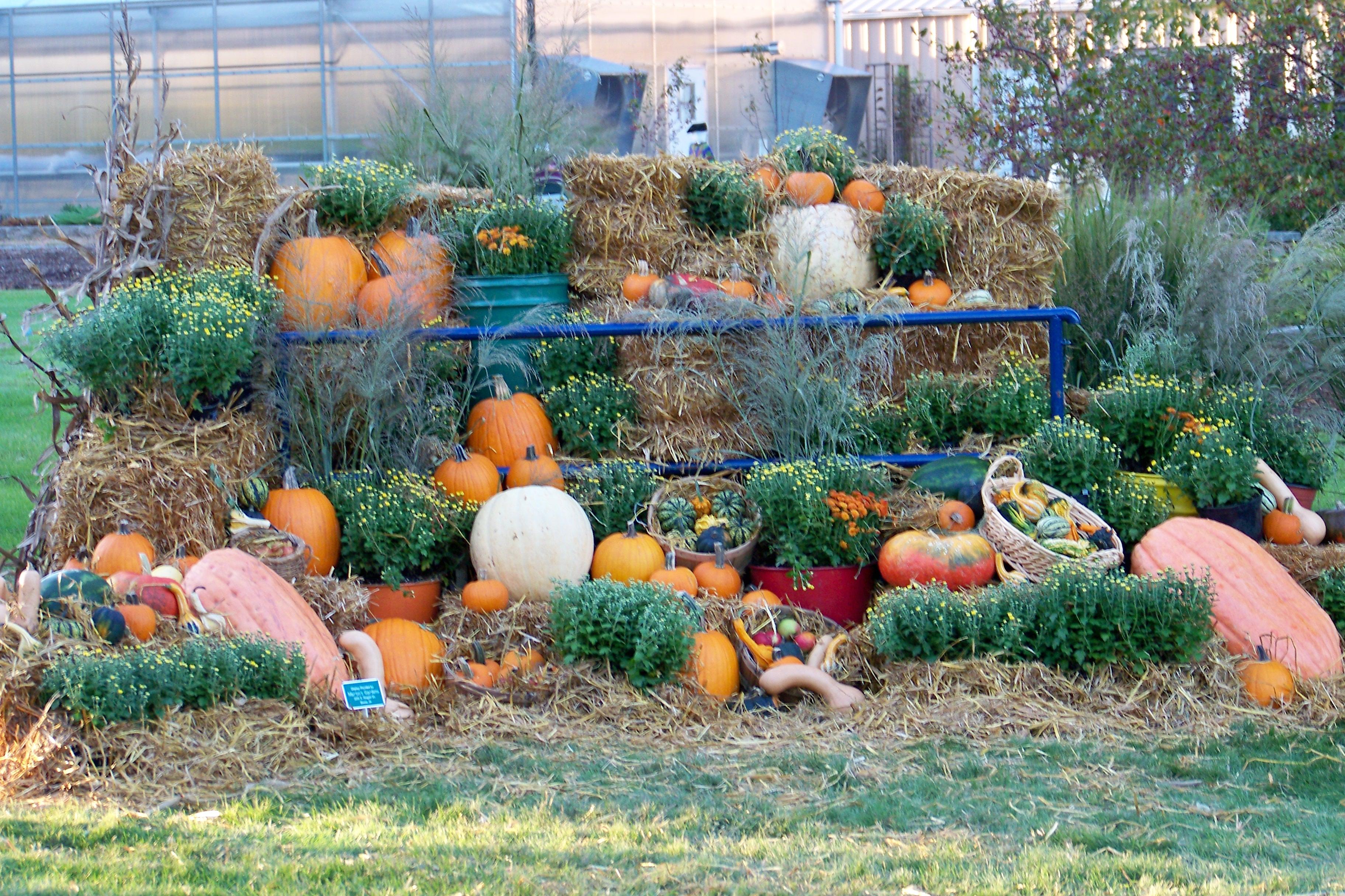 Iowa Arboretum