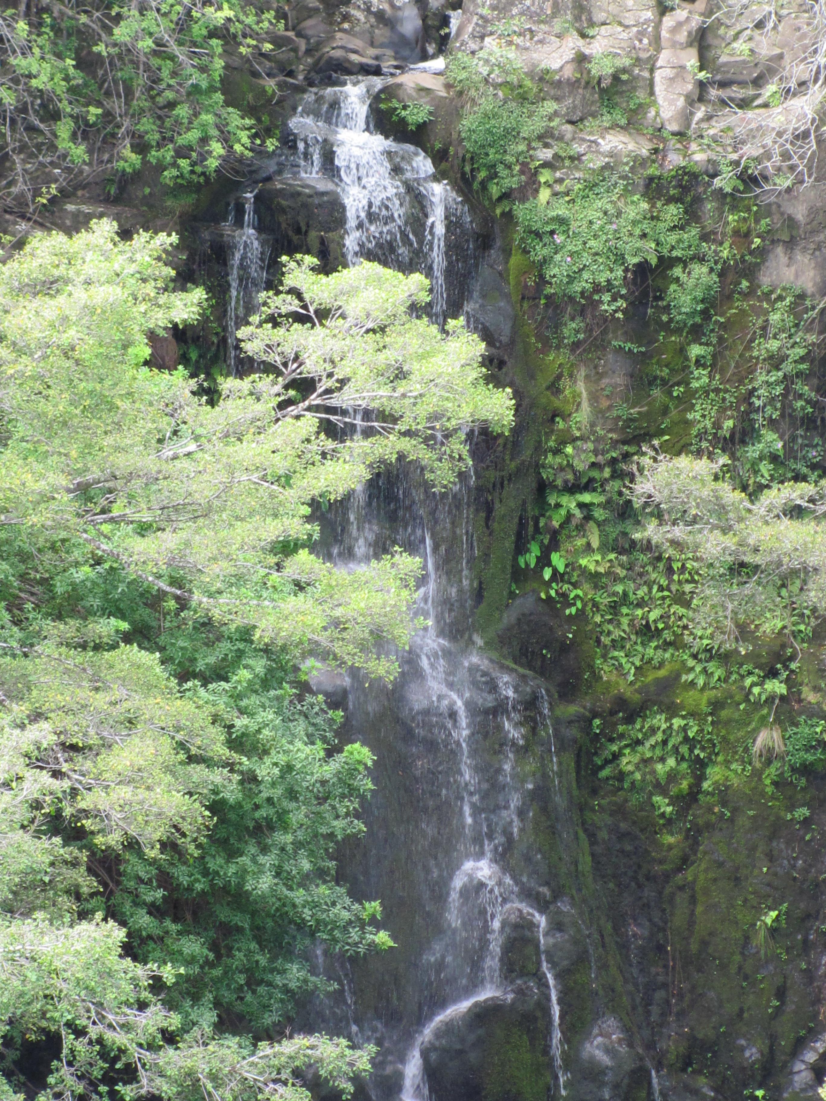 Kohala Waterfalls Adventure