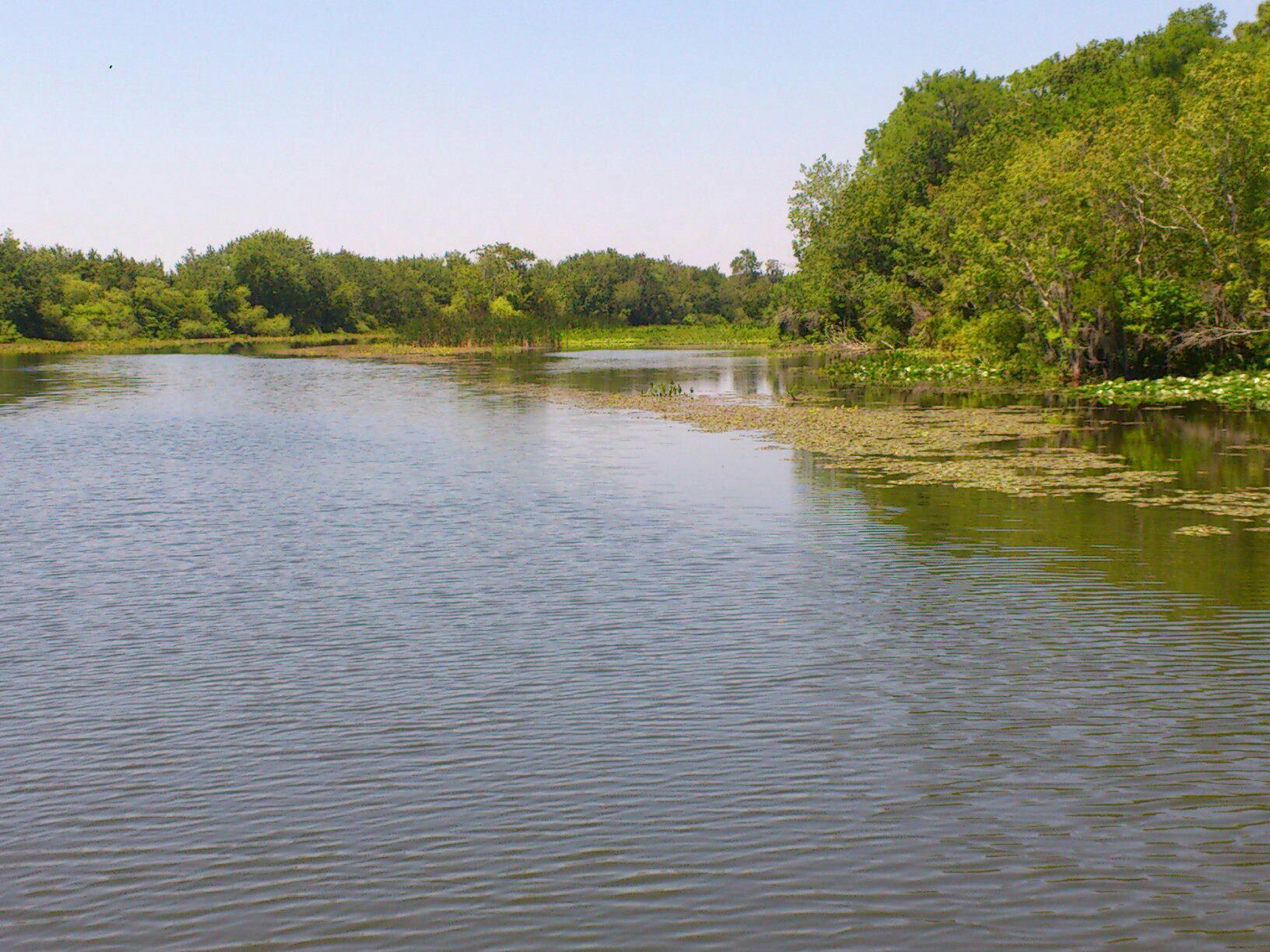 Fountain of Youth Eco/History Tours