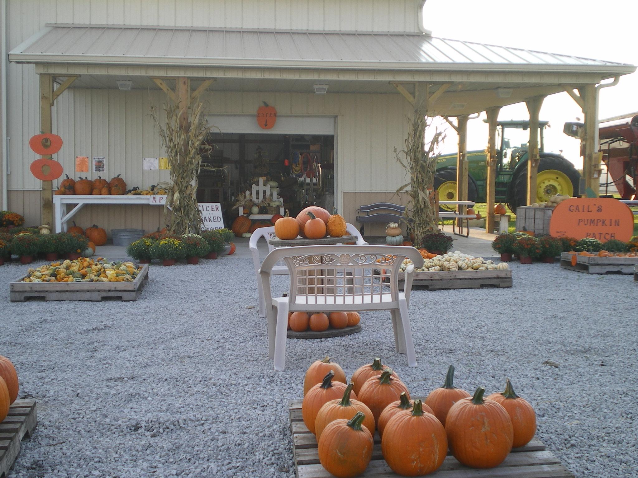 Gail's Pumpkin Patch