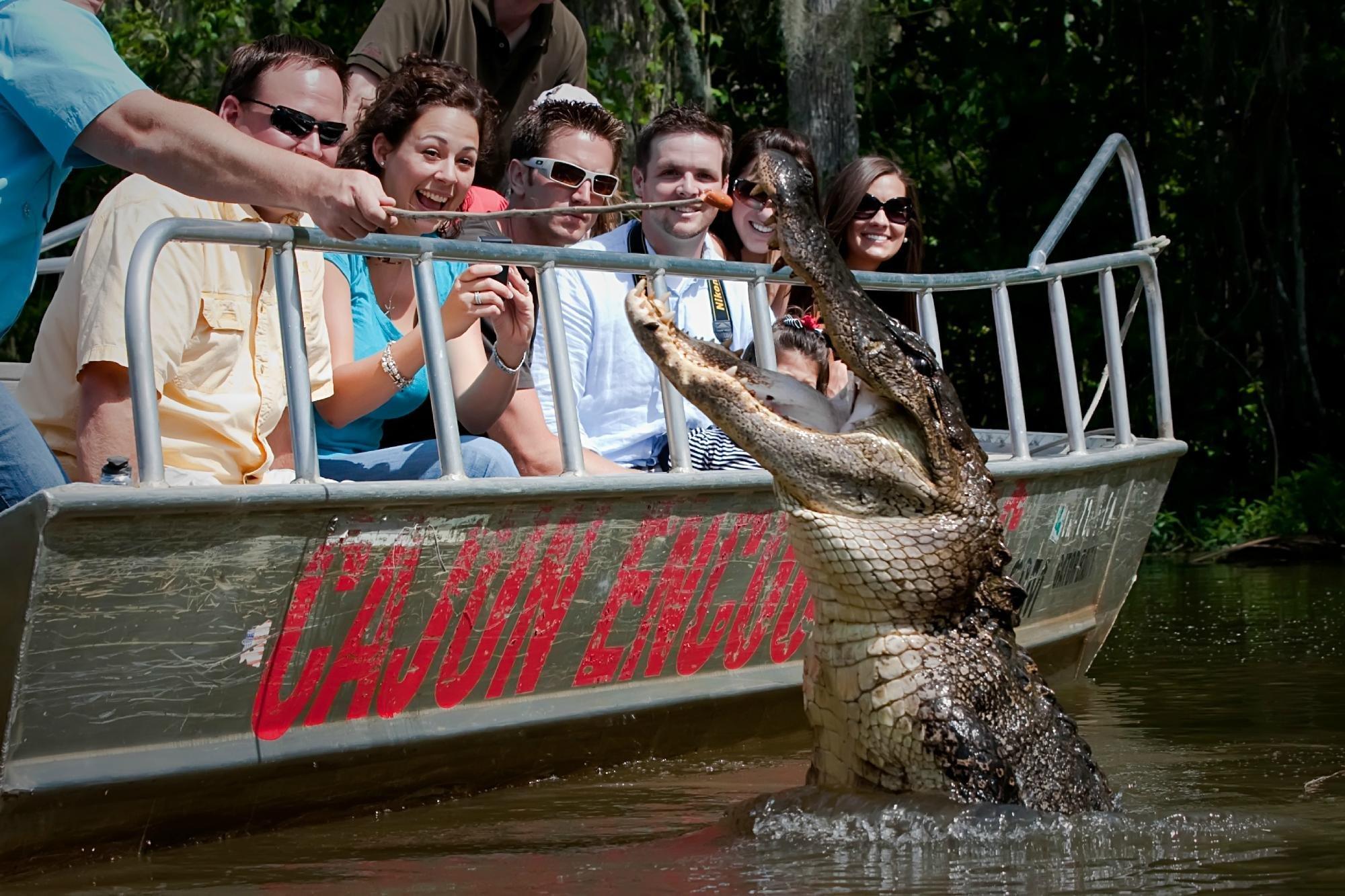 Cajun Encounters Tour Company