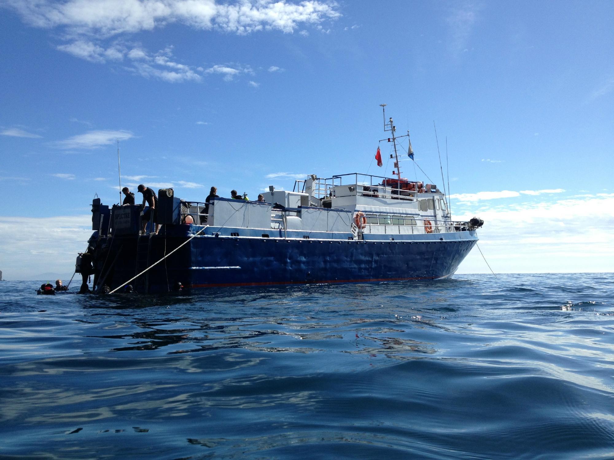 Calboat Diving - Spectre Dive Boat