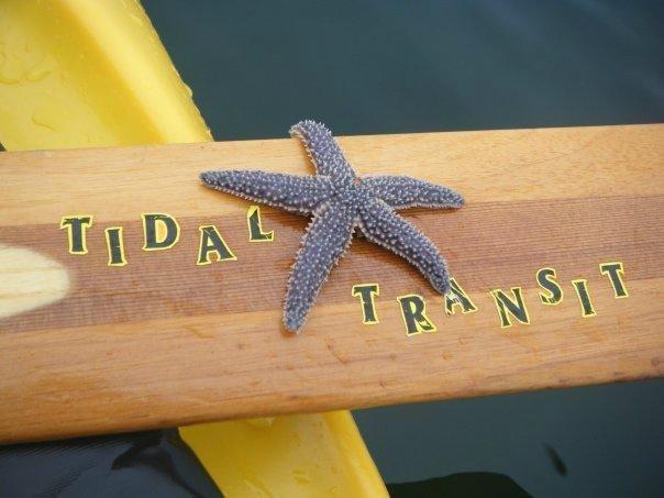 Tidal Transit Kayak