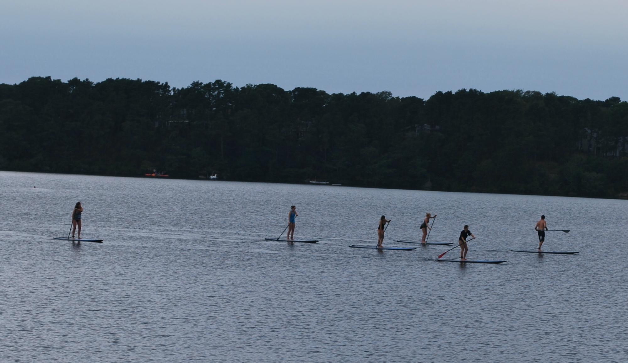 SUPfari Adventures Cape Cod