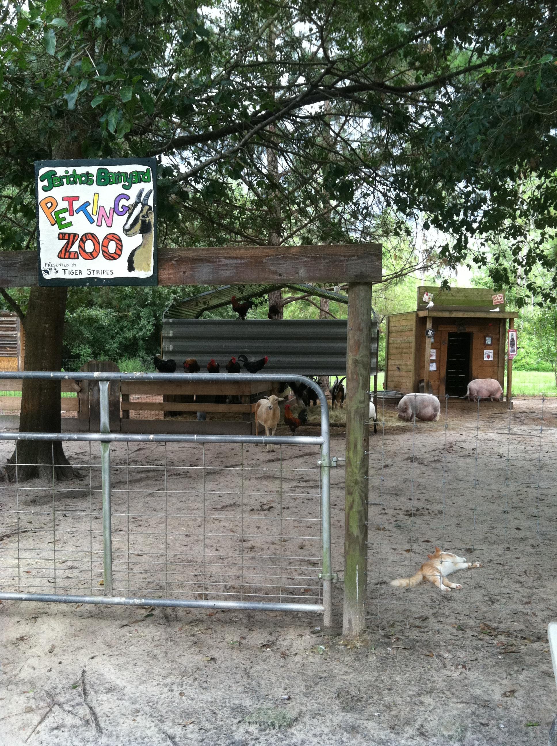 Tiger Stripes Exotic Animal Sanctuary