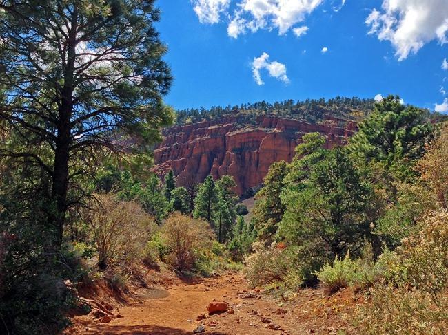 Red Mountain Trail