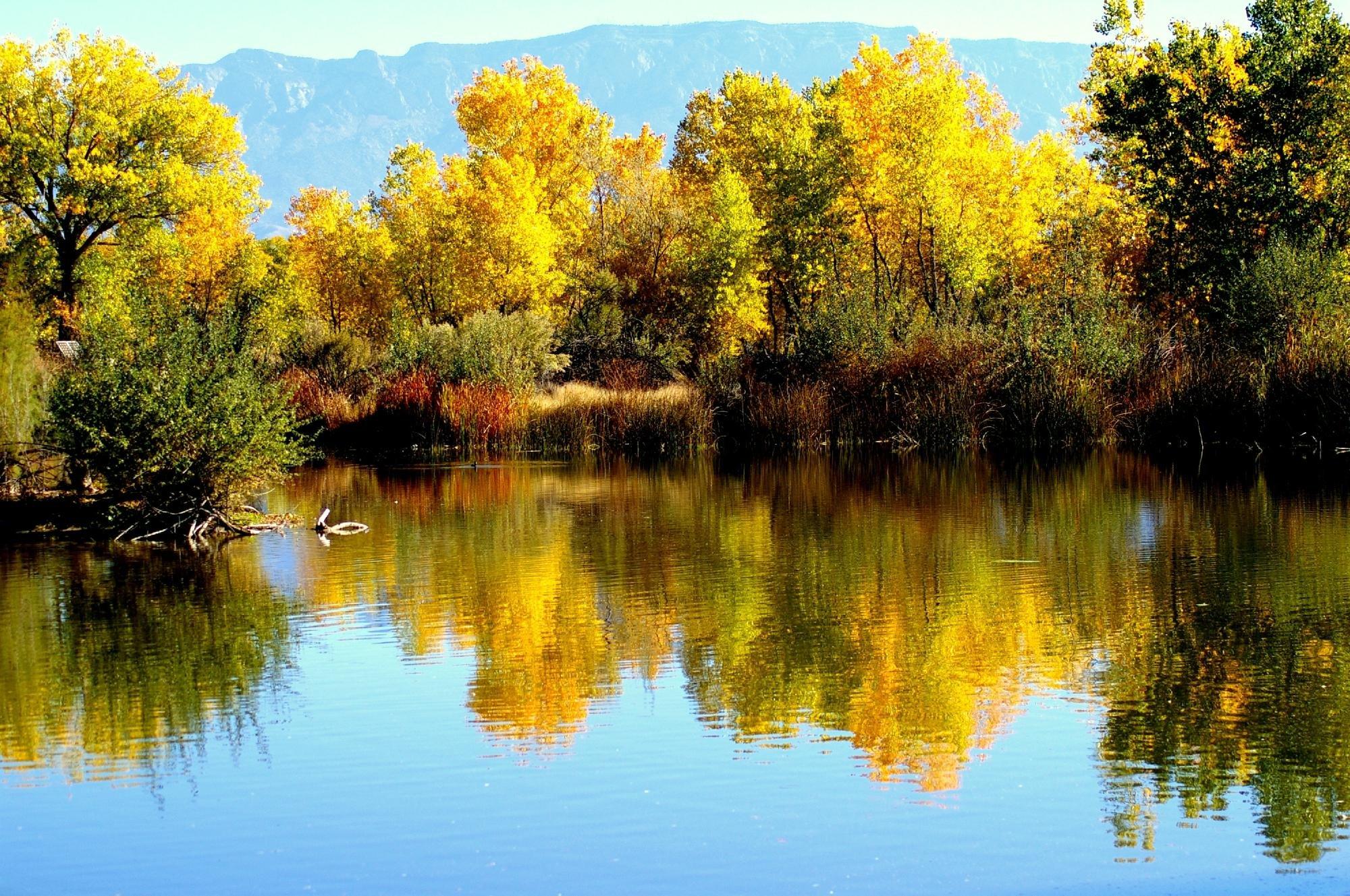 Rio Grande Nature Center State Park