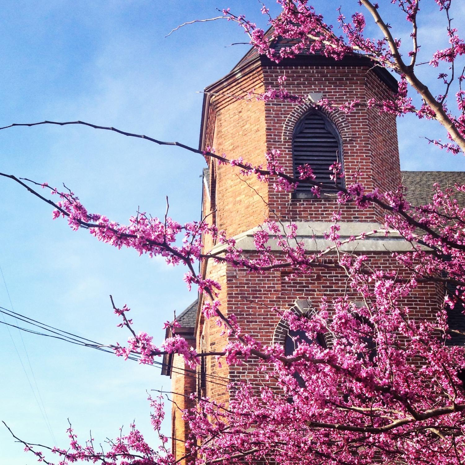 Brooklyn Arts Center