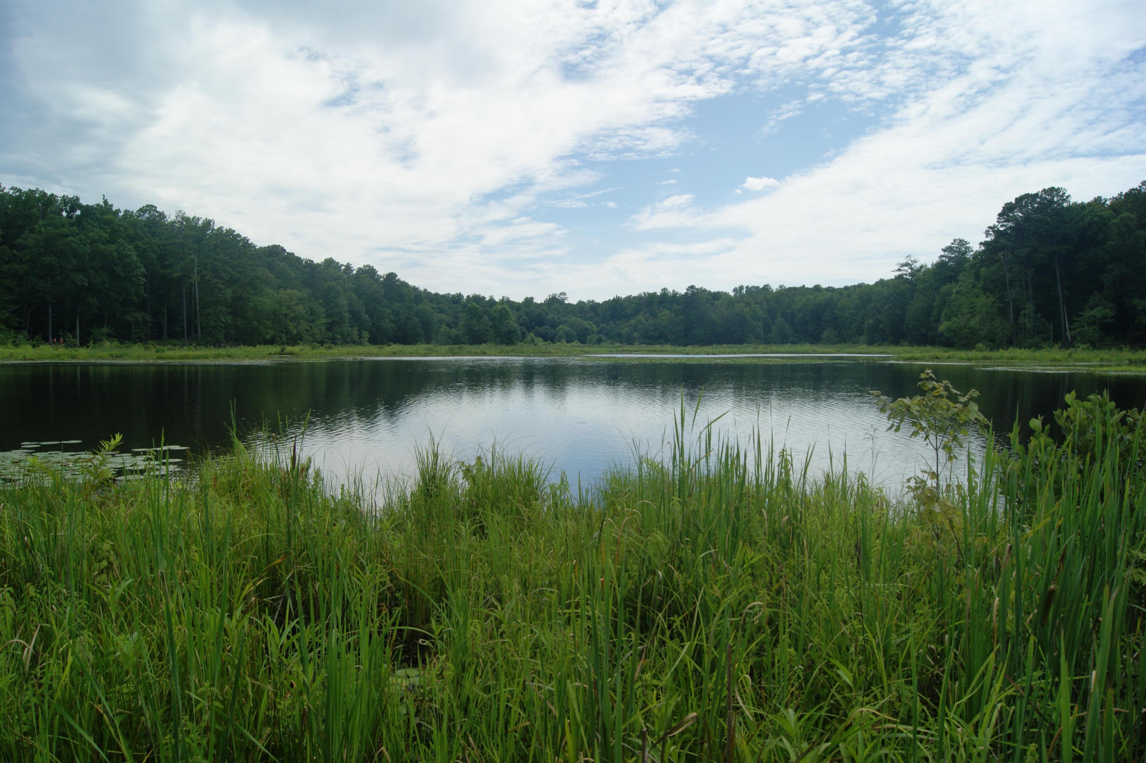 Pocahontas State Park