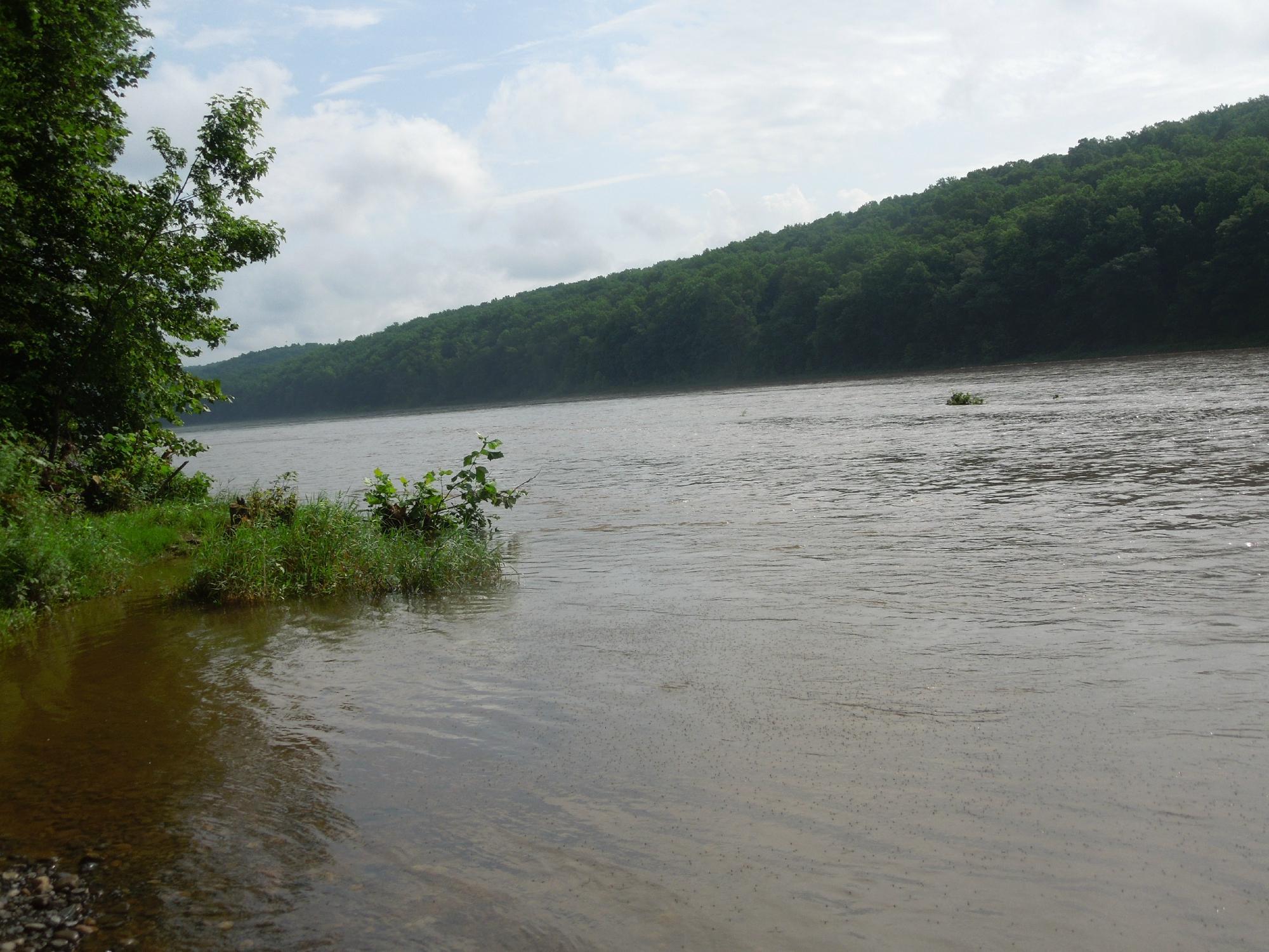 Dingmans Campground