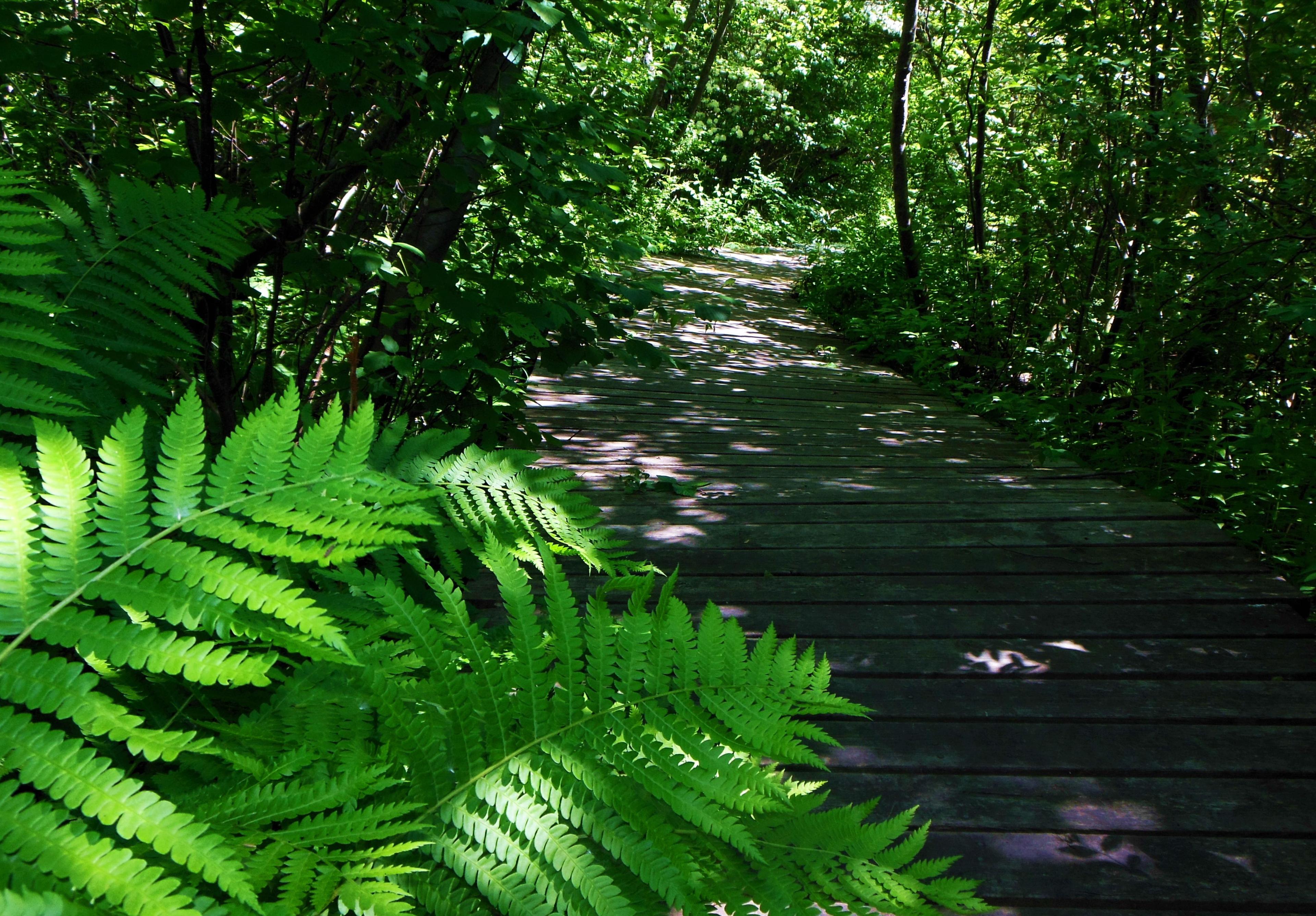 De Graaf Nature Center