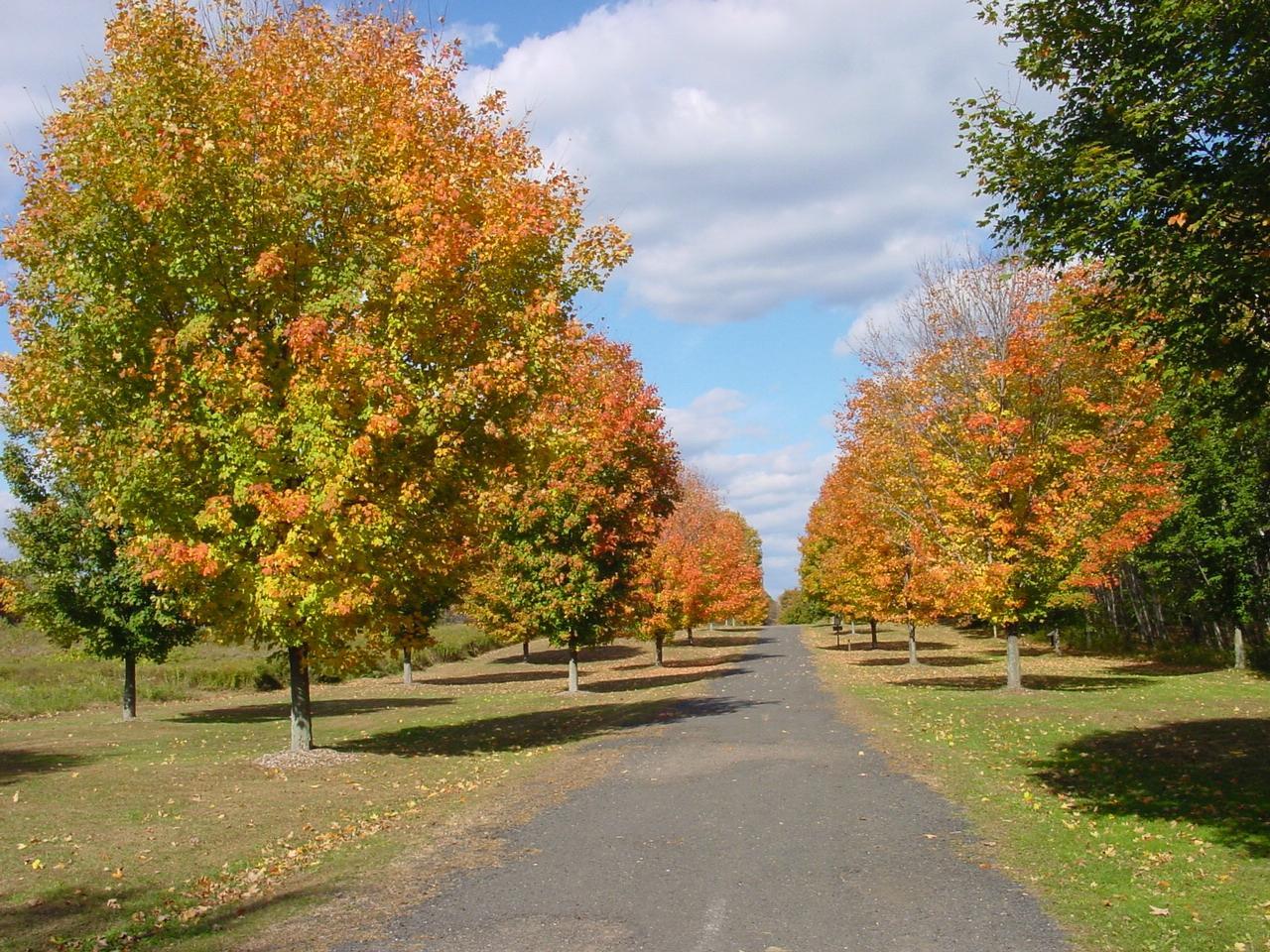 Northwest Park & Nature Center