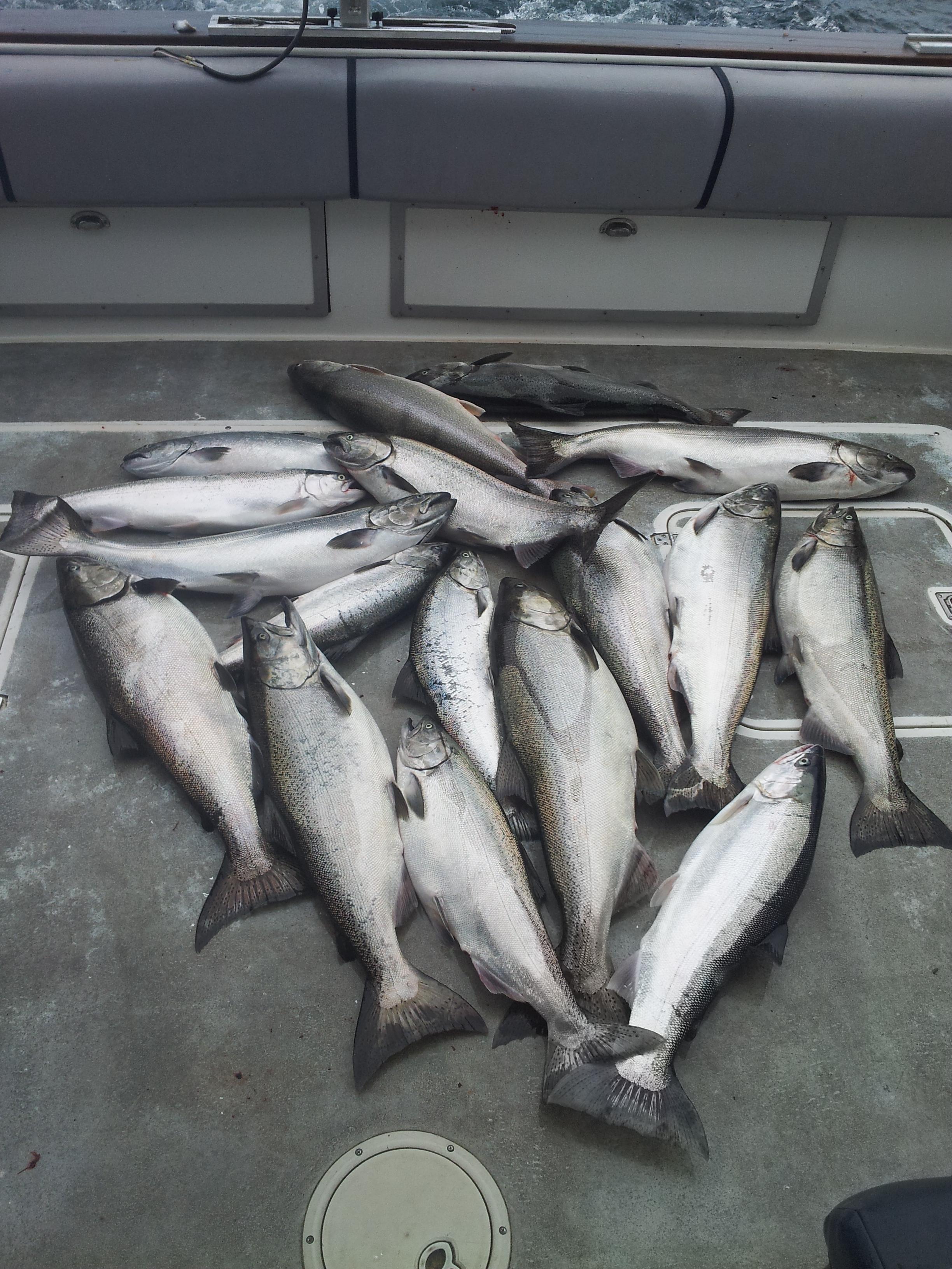 Fish Napper Charters