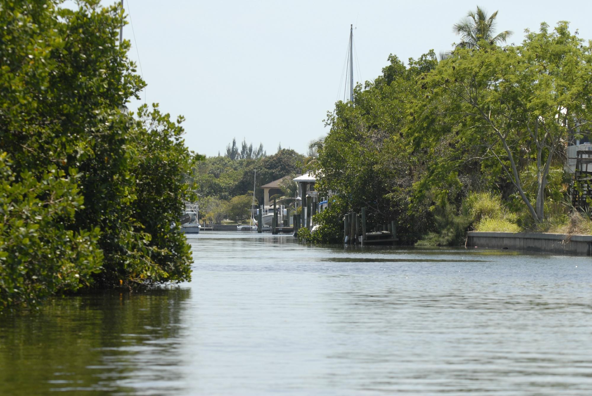 Pine Island Sailing