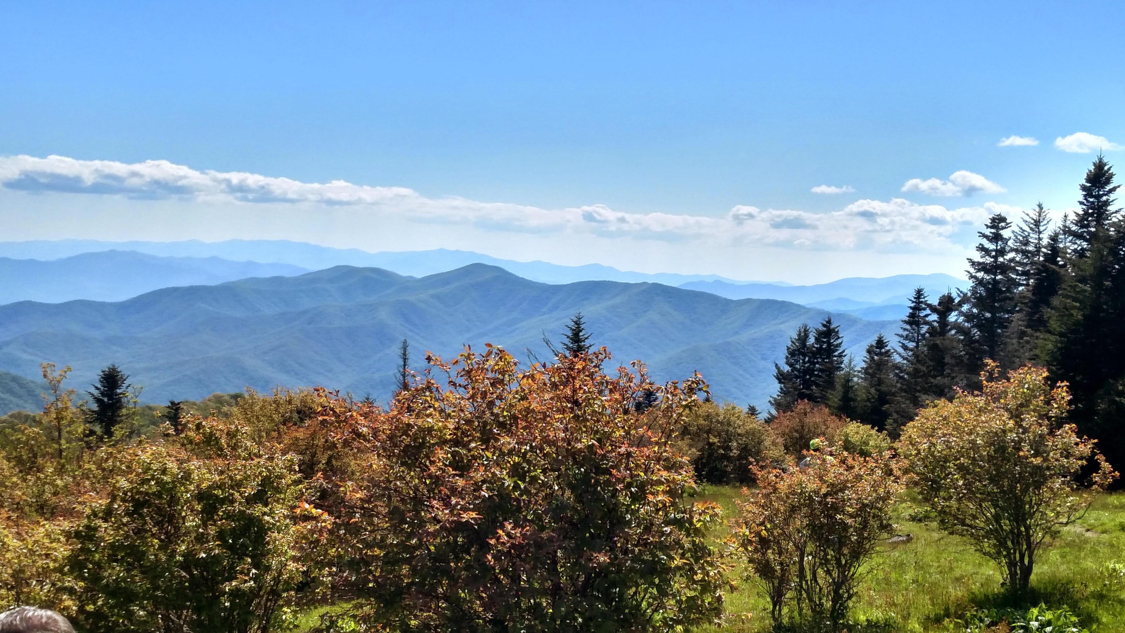 Forney Ridge Trail