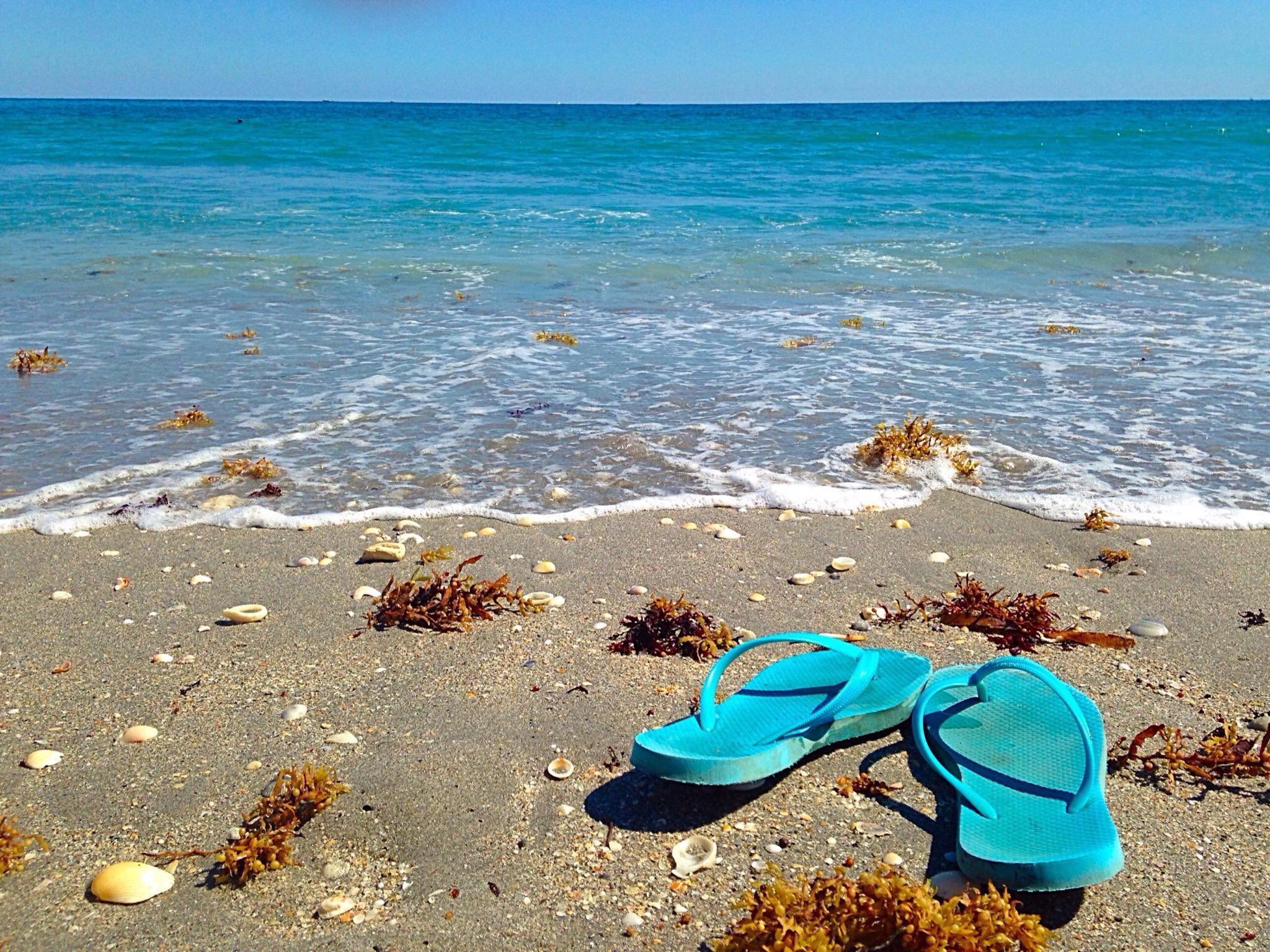 Oceanfront Park Beach