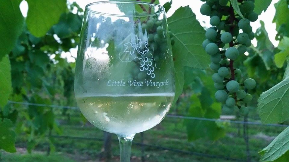 Little Vine Vineyards and Winery