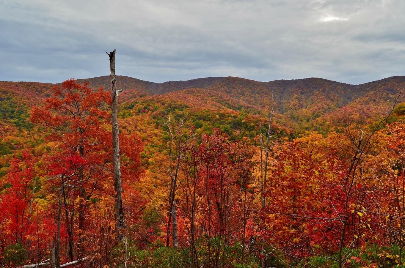 Gregory Bald via Gregory ridge