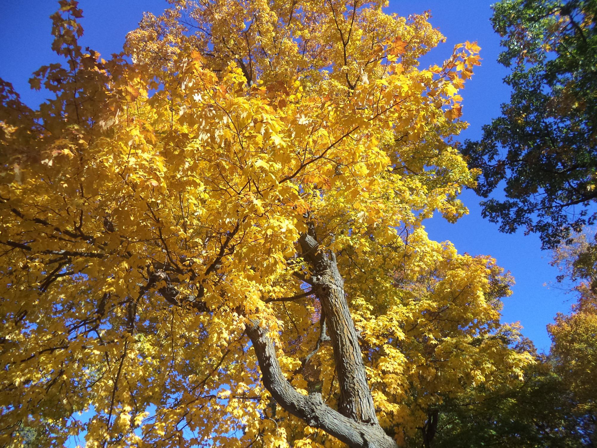 High Cliff State Park