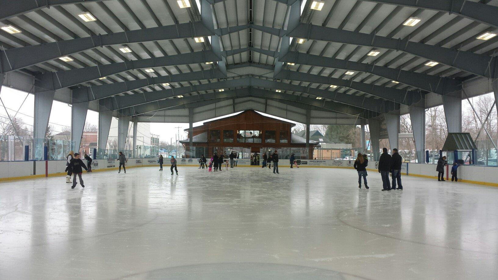 The Healthy Zone Rink