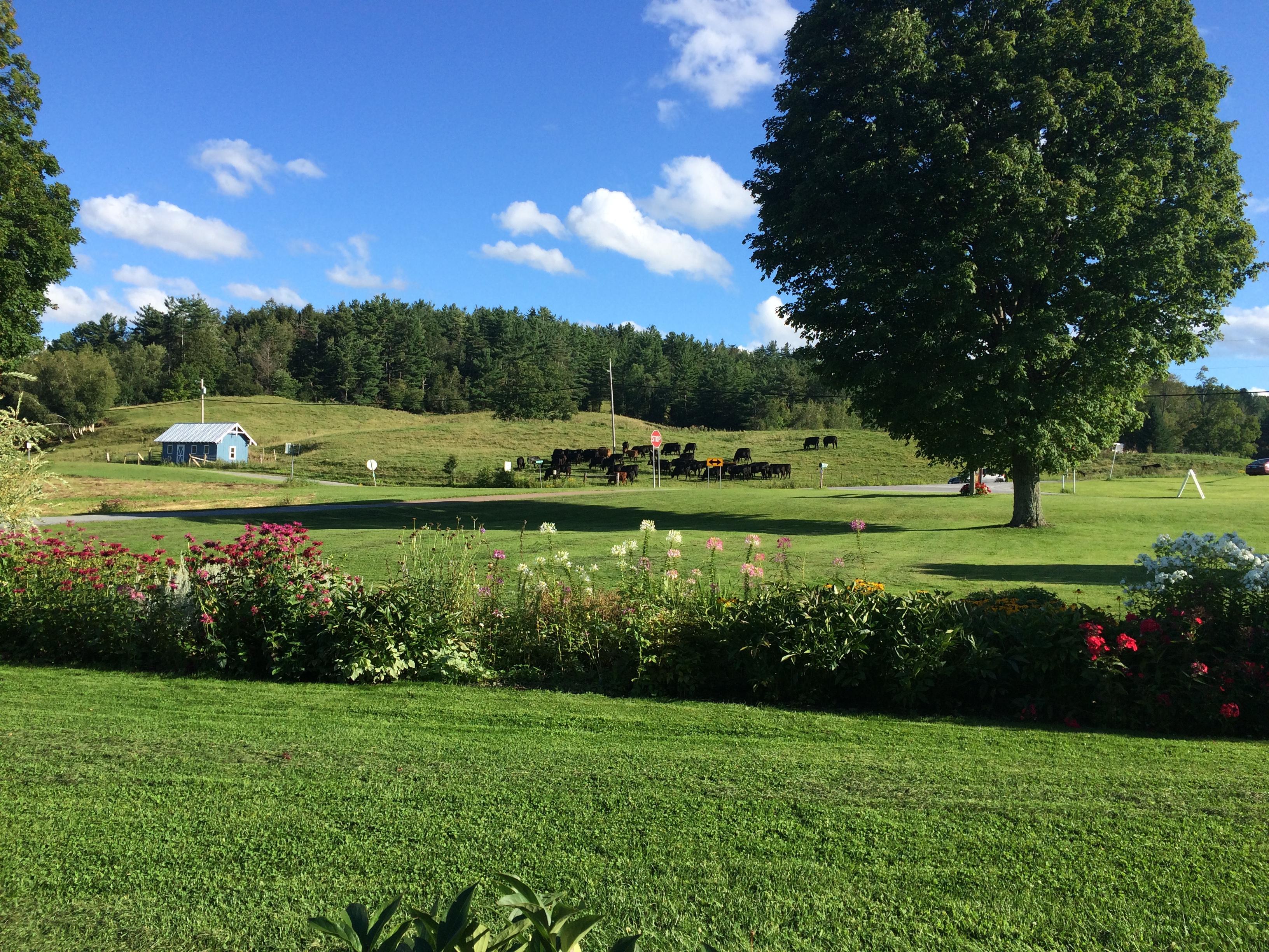 Boyden Valley Winery & Spirits