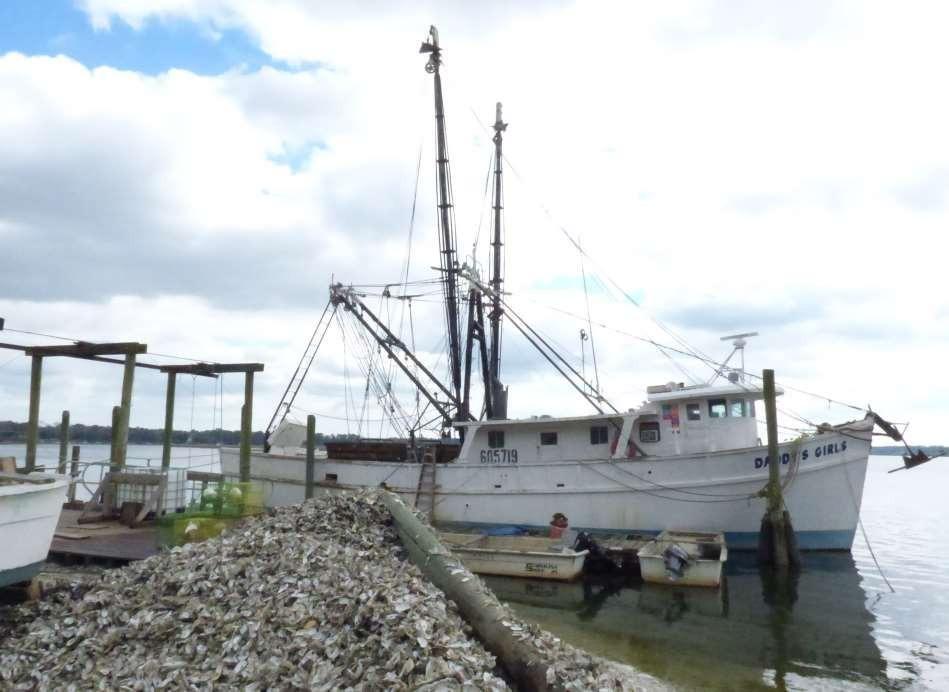 Bluffton Oyster Company