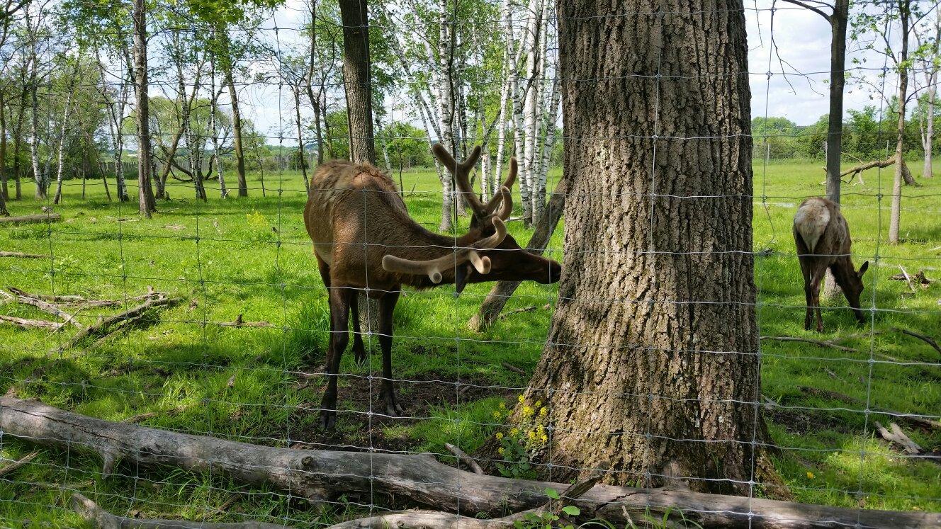 Shalom Wildlife Sanctuary