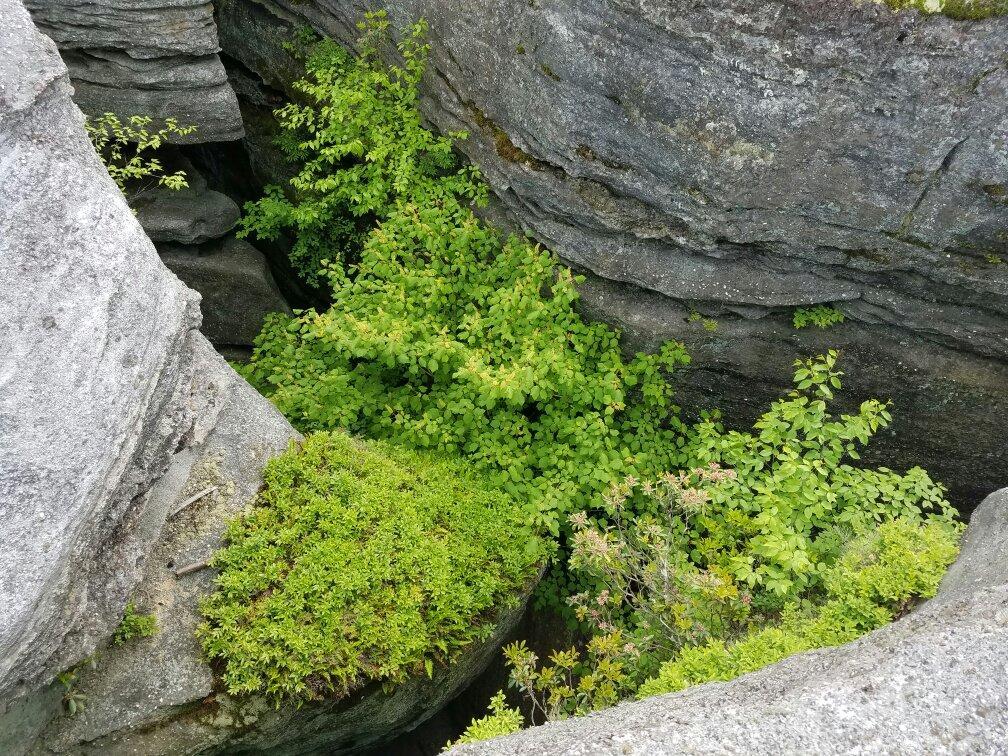 Rock City Park