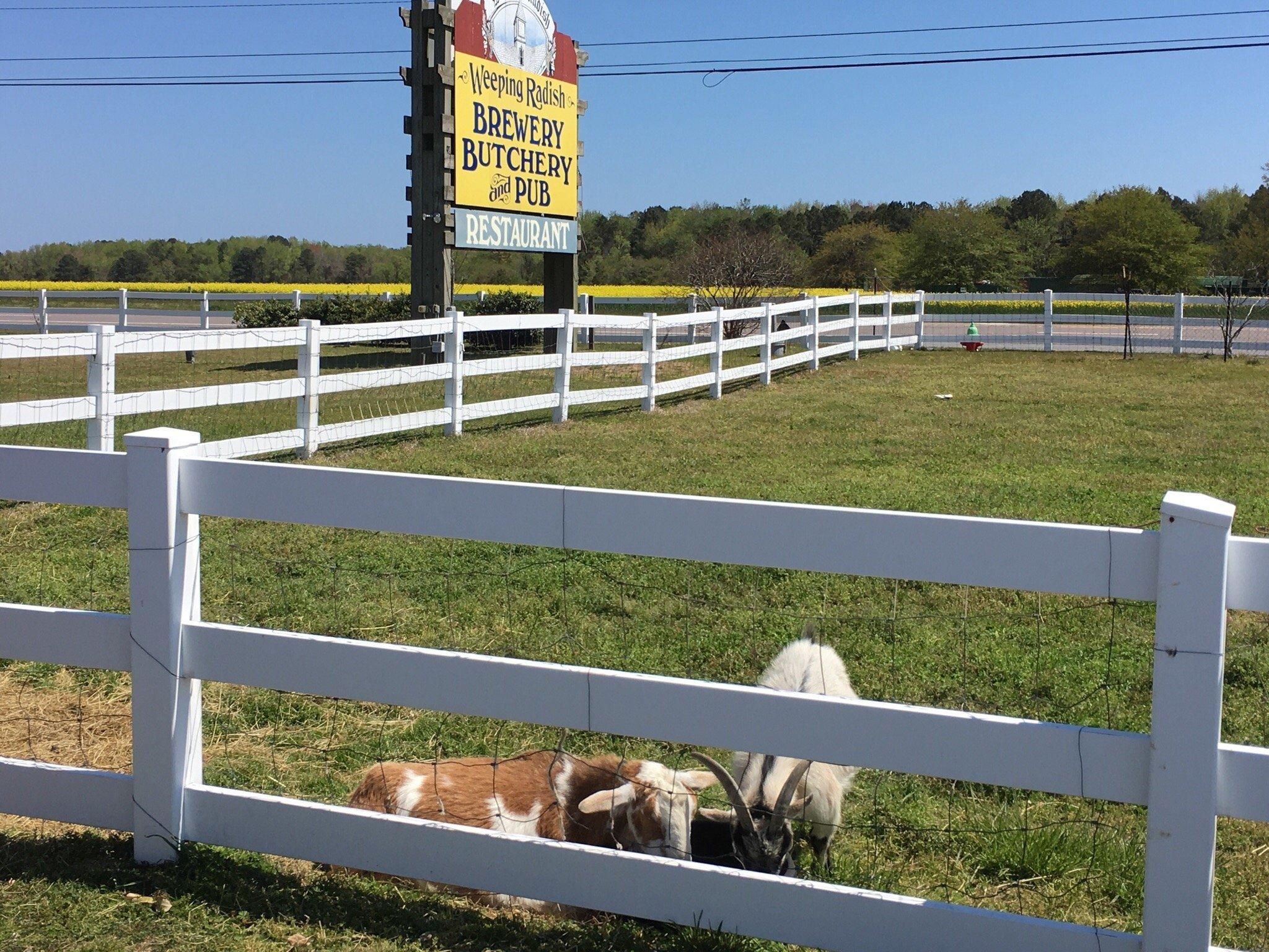 Weeping Radish Farm Brewery