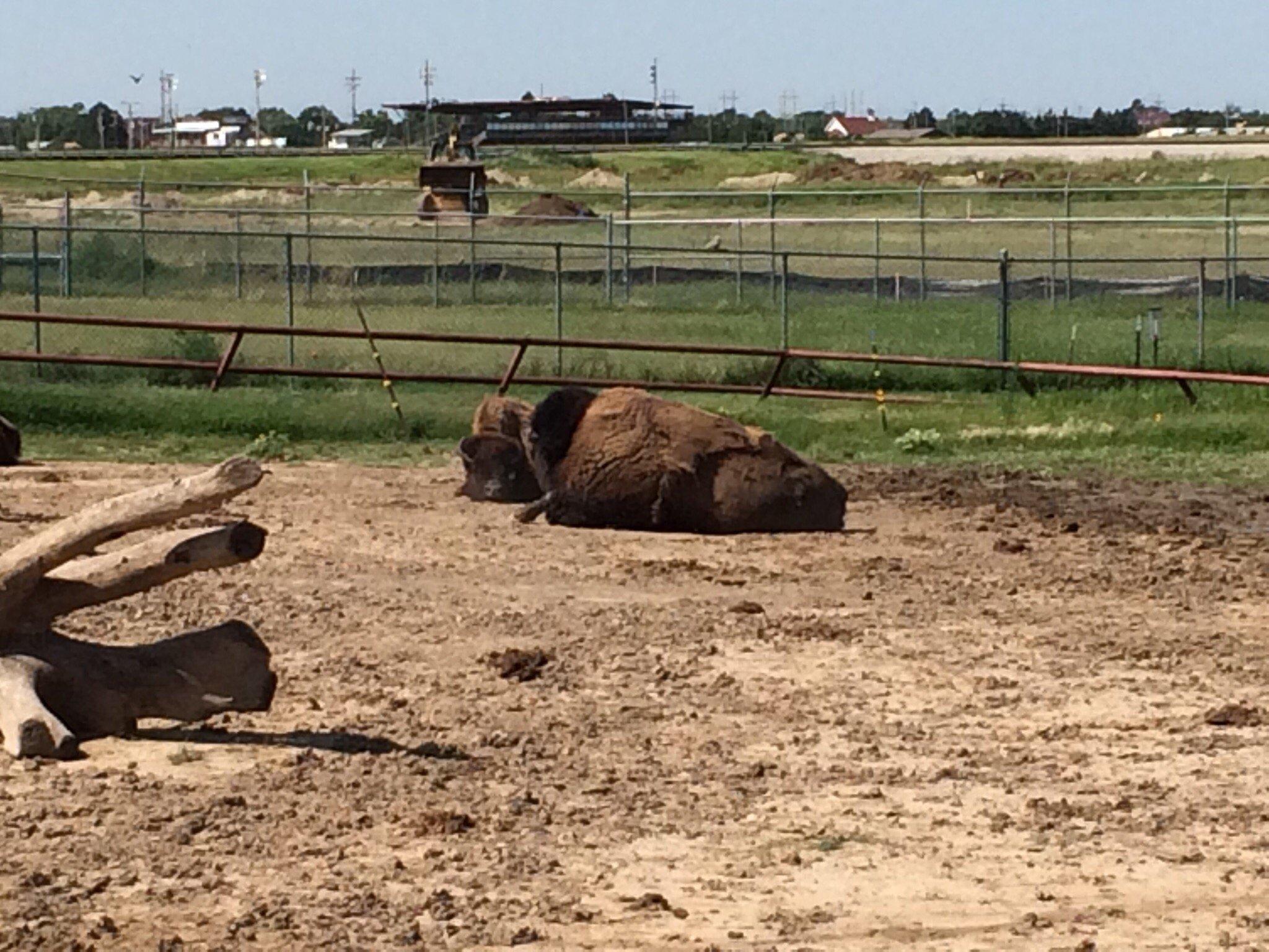 Dodge City Zoo