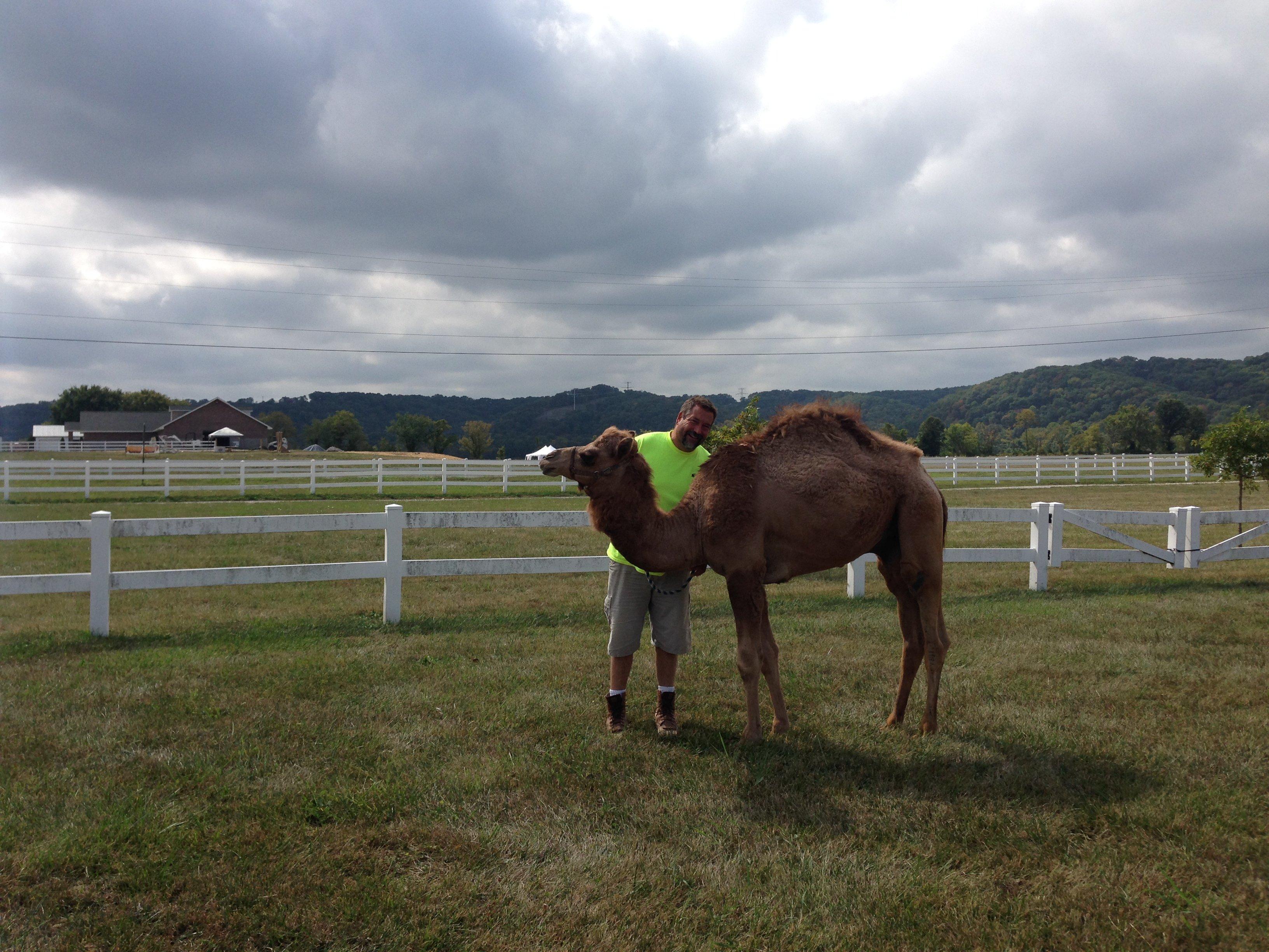 Brookdale Farms