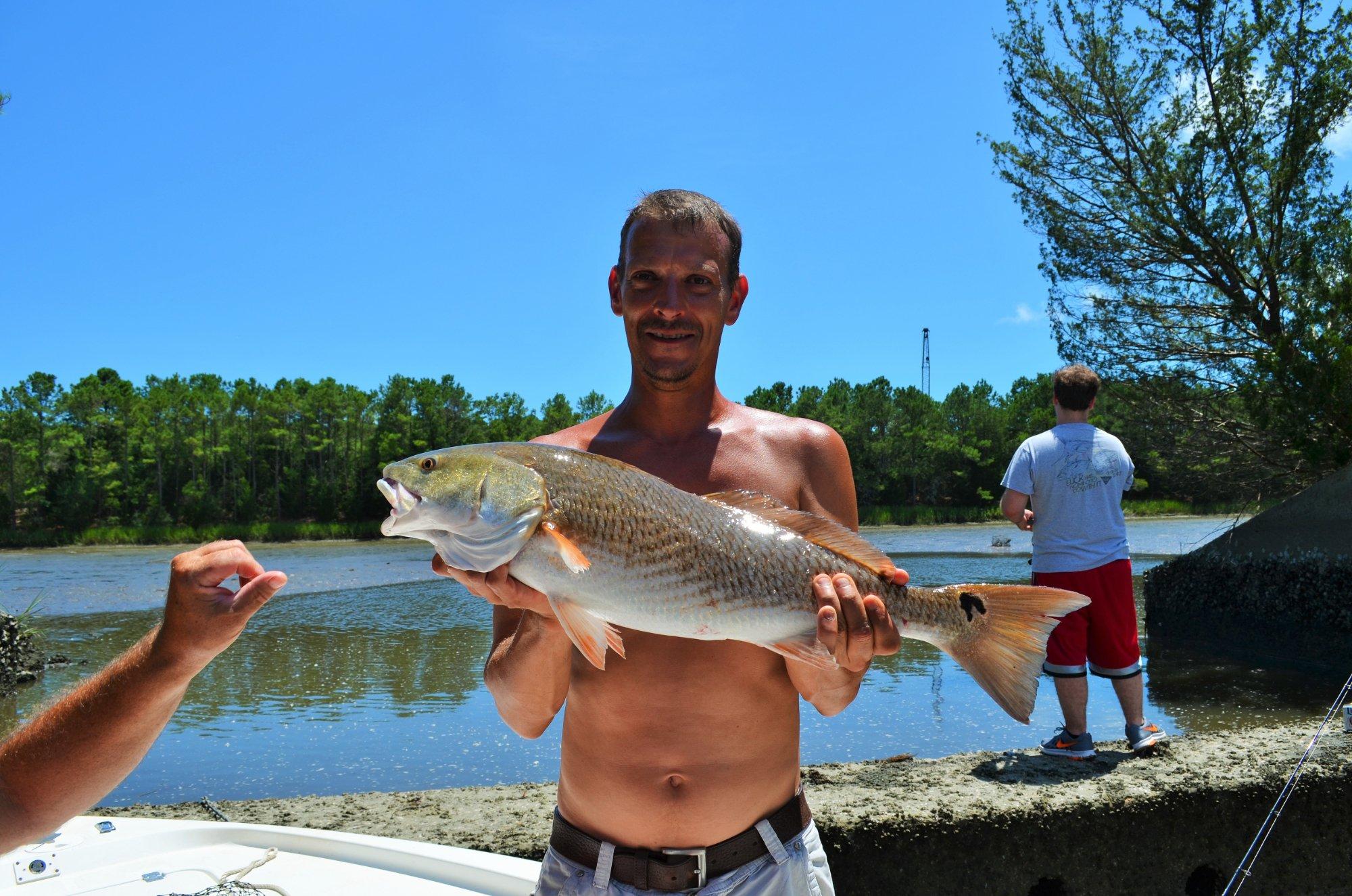 Reelin' Pelican Fishing Charters Southport