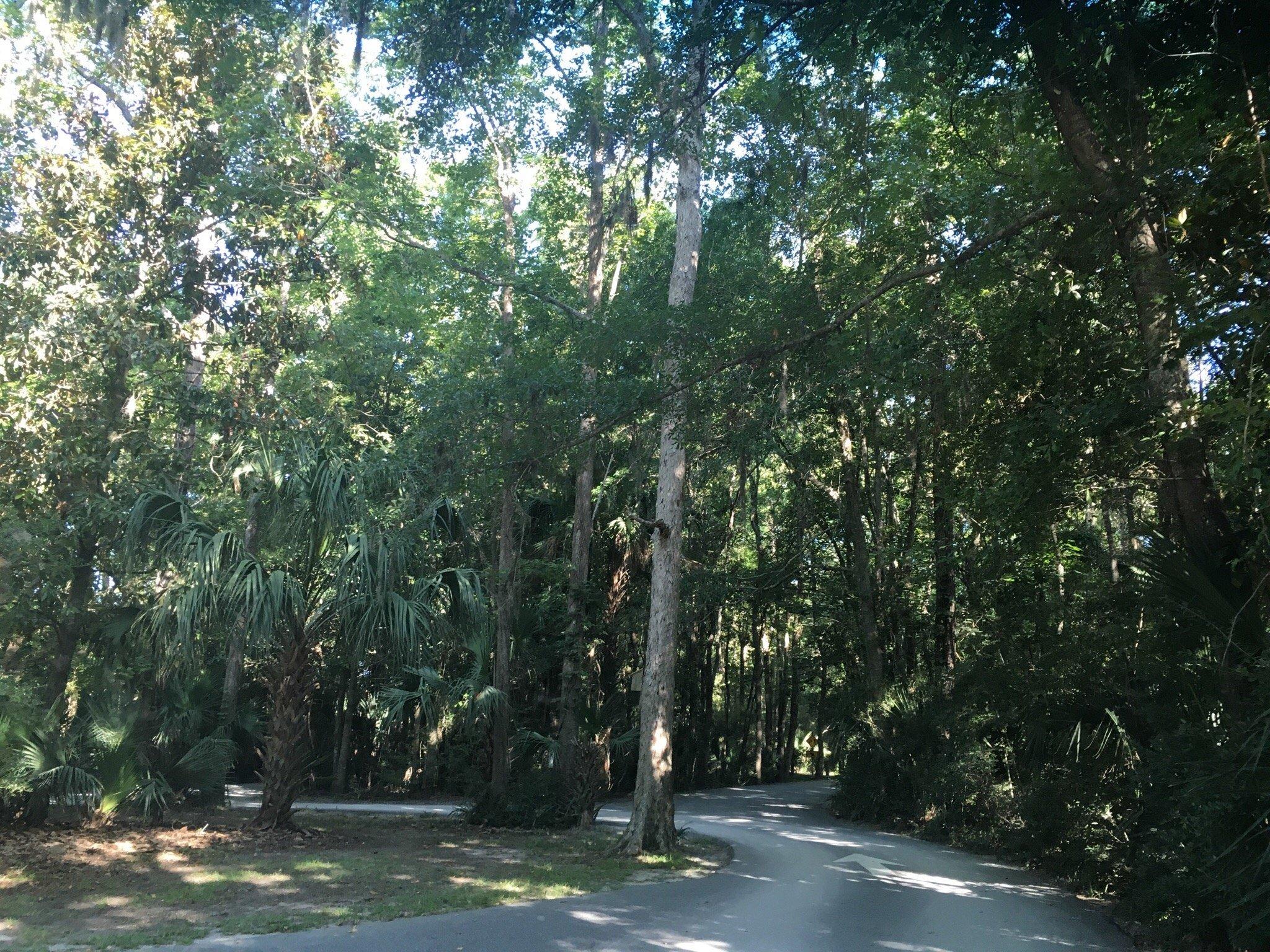 Palmetto Islands County Park