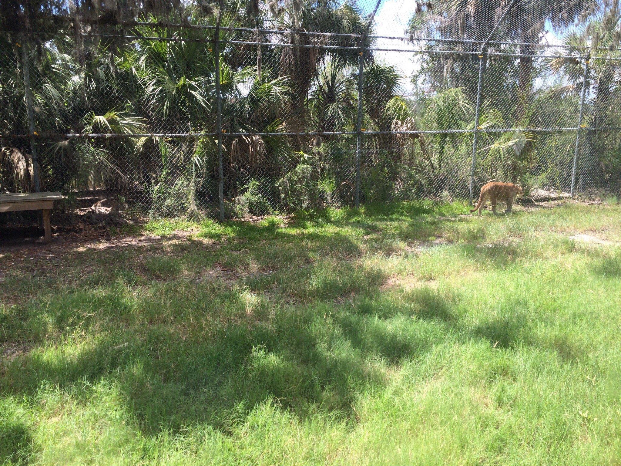 Oatland Island Wildlife Center