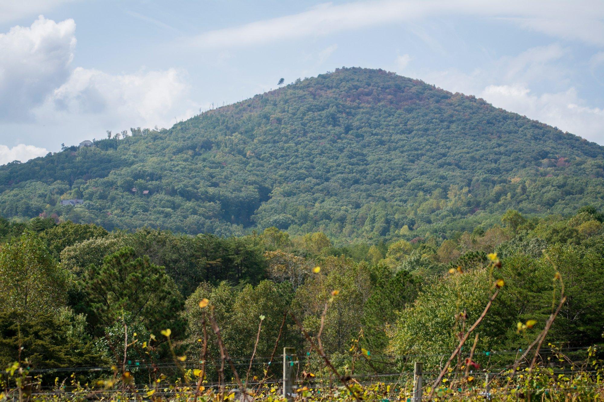 Sharp Mountain Vineyards