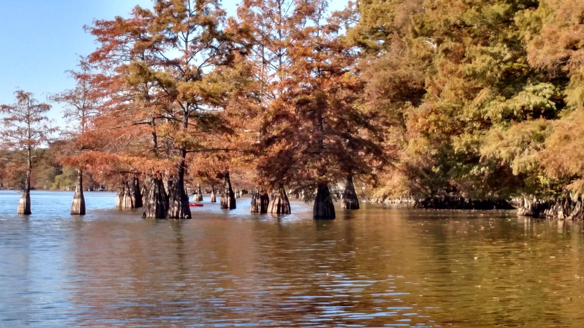 Lake Chicot State Park