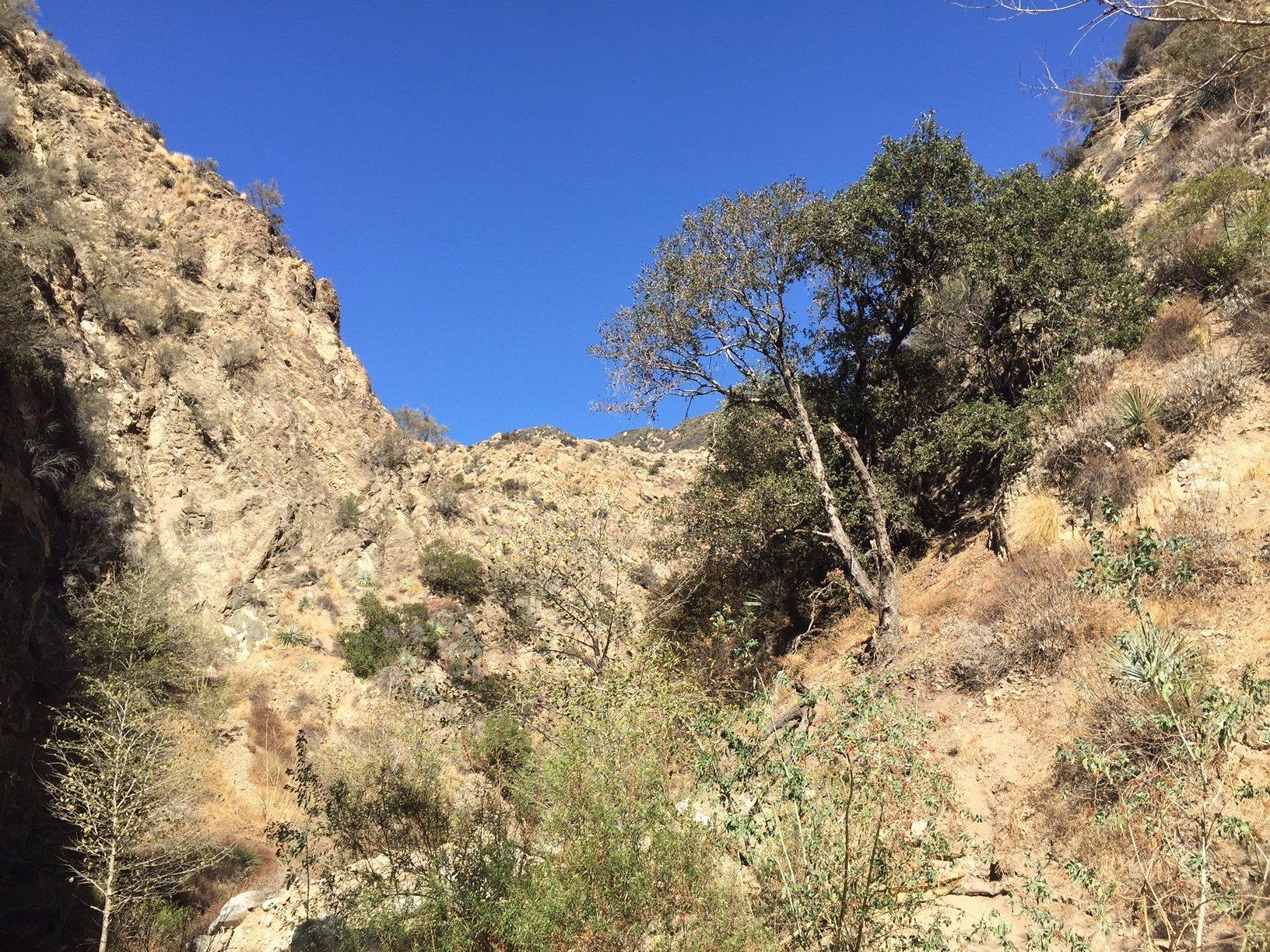 Eaton Canyon Natural Area