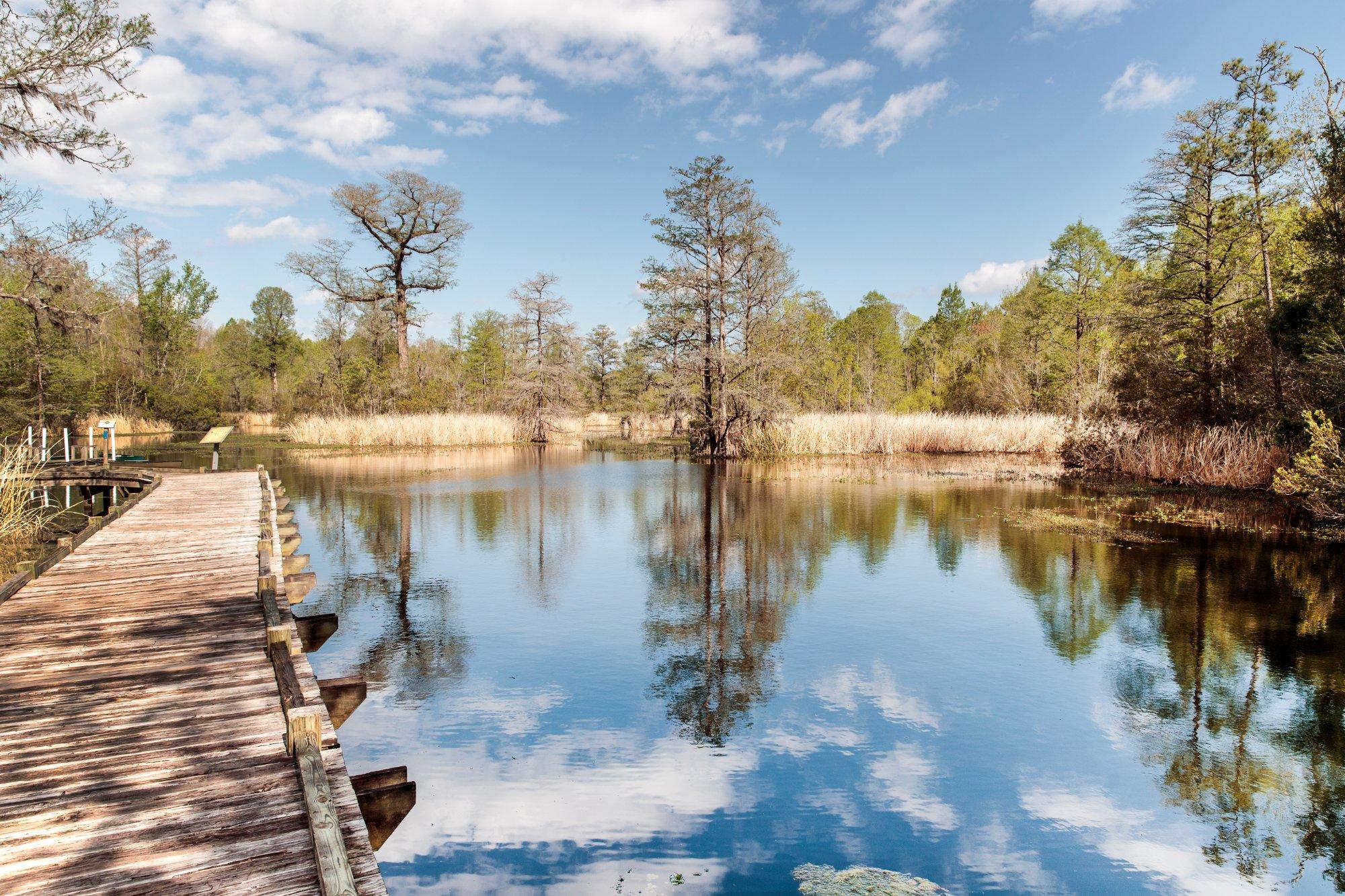 Old Santee Canal Park