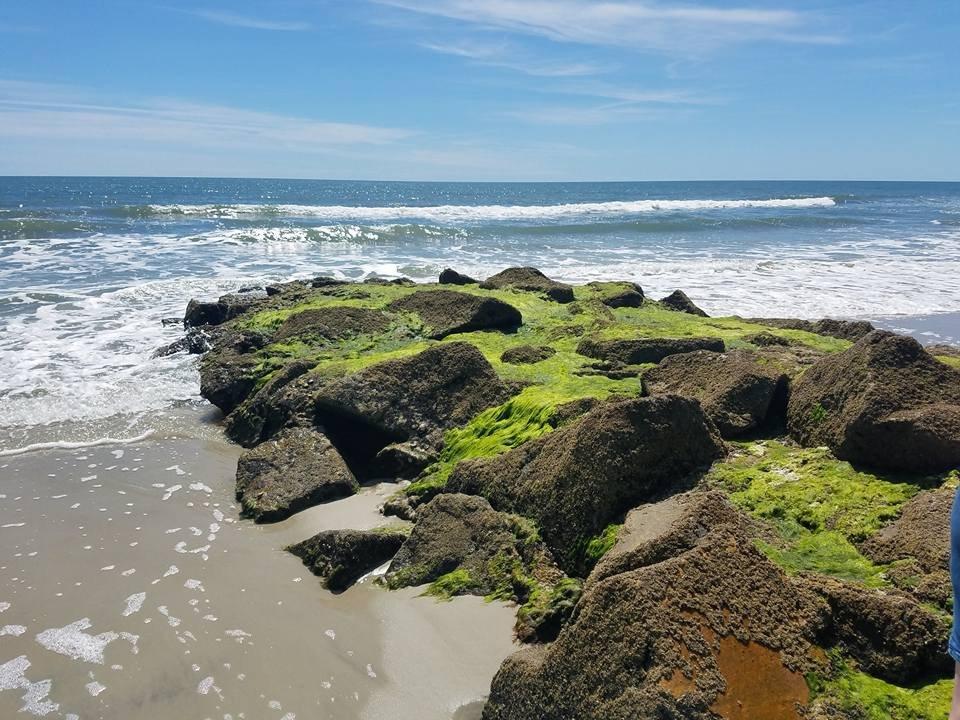 Pawleys Island Beach Service