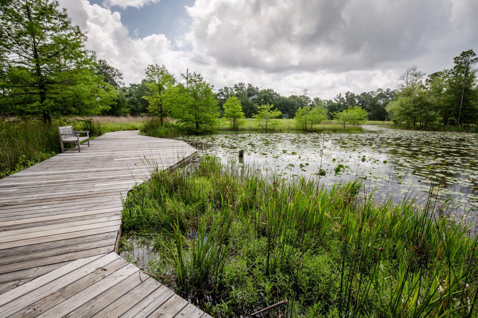 Houston Arboretum & Nature Center