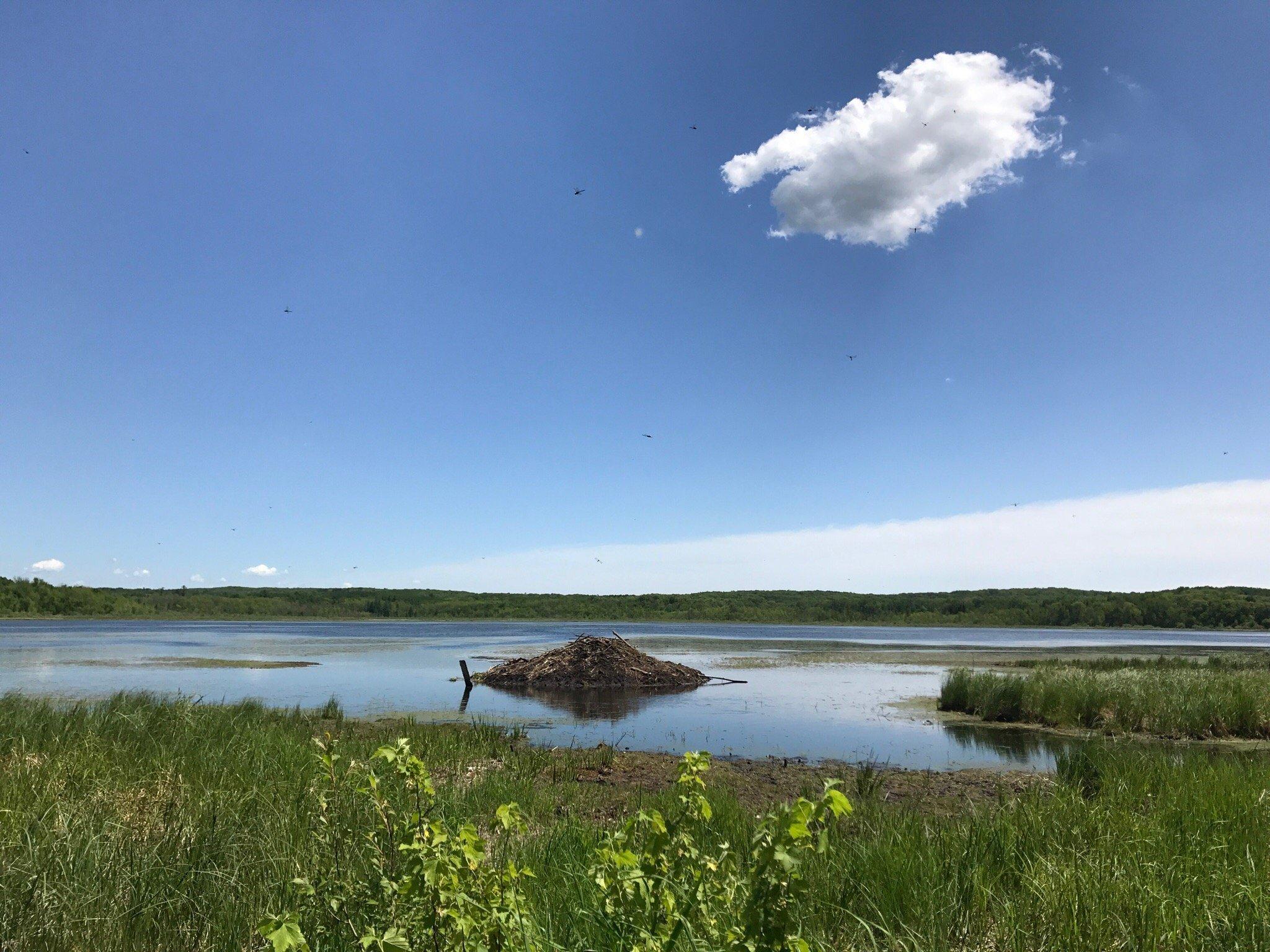 Tamarac National Wildlife Refuge