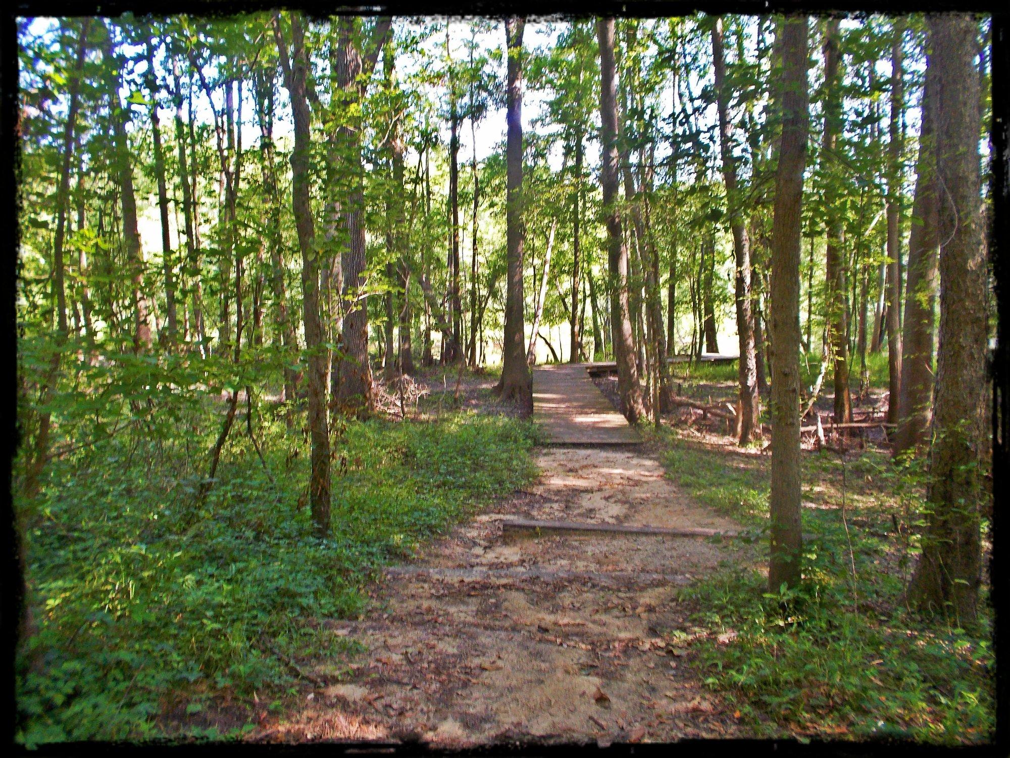 Colleton State Park