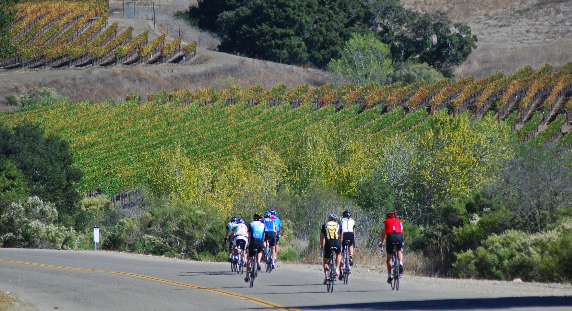 Santa Barbara Wine Country Cycling Tours