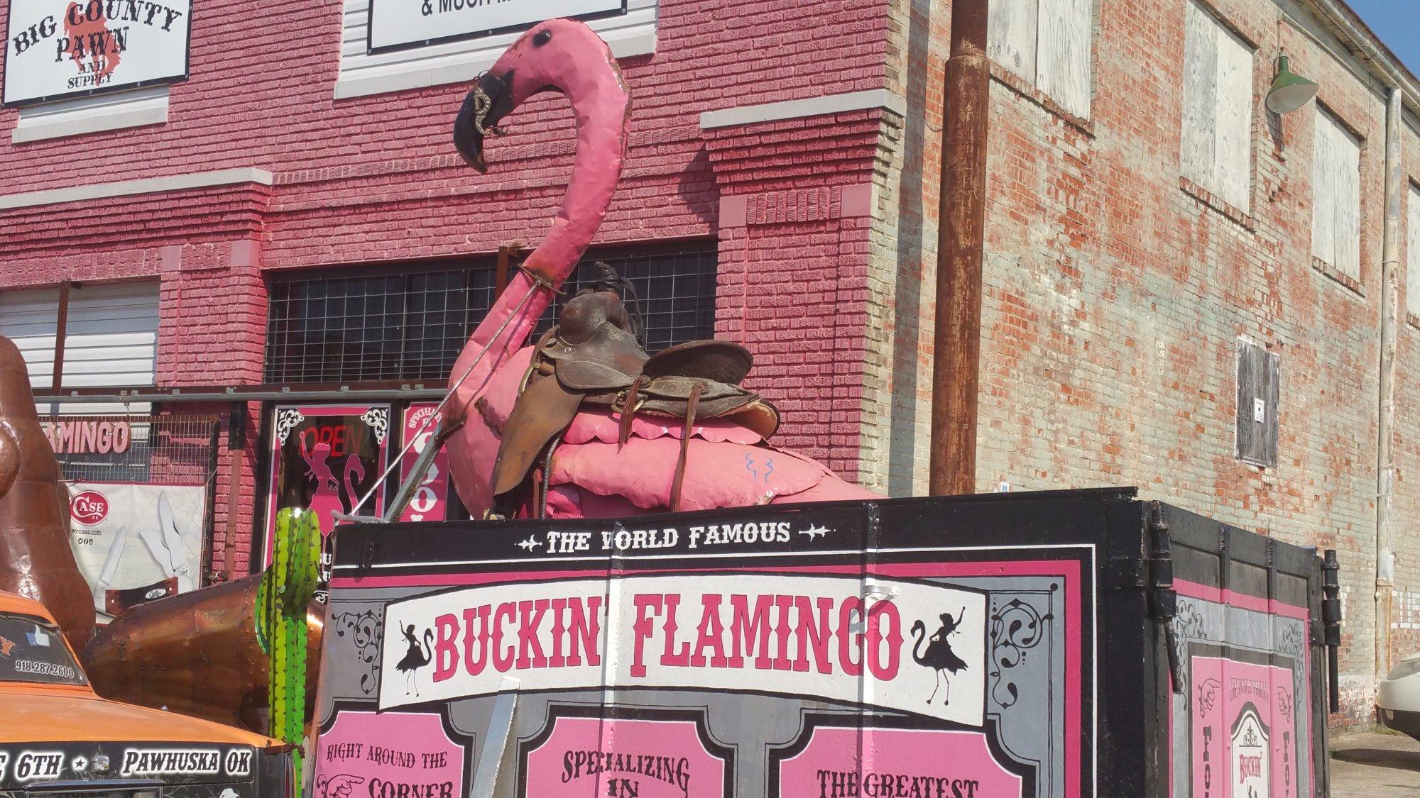 The Buckin' Flamingo