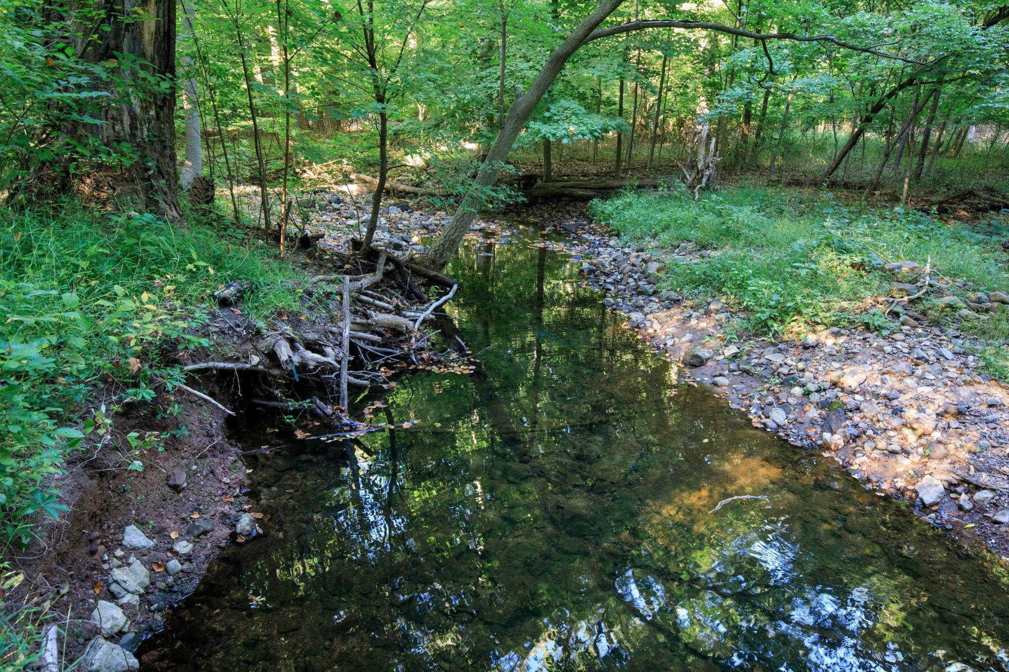 Flat Rock Brook Nature Center